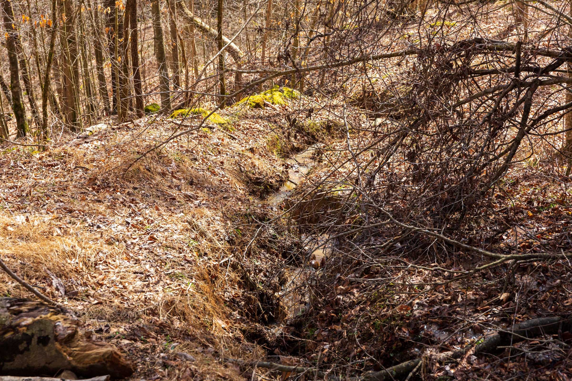 Blackstone Mountain Phase II Tract 82 photo 10