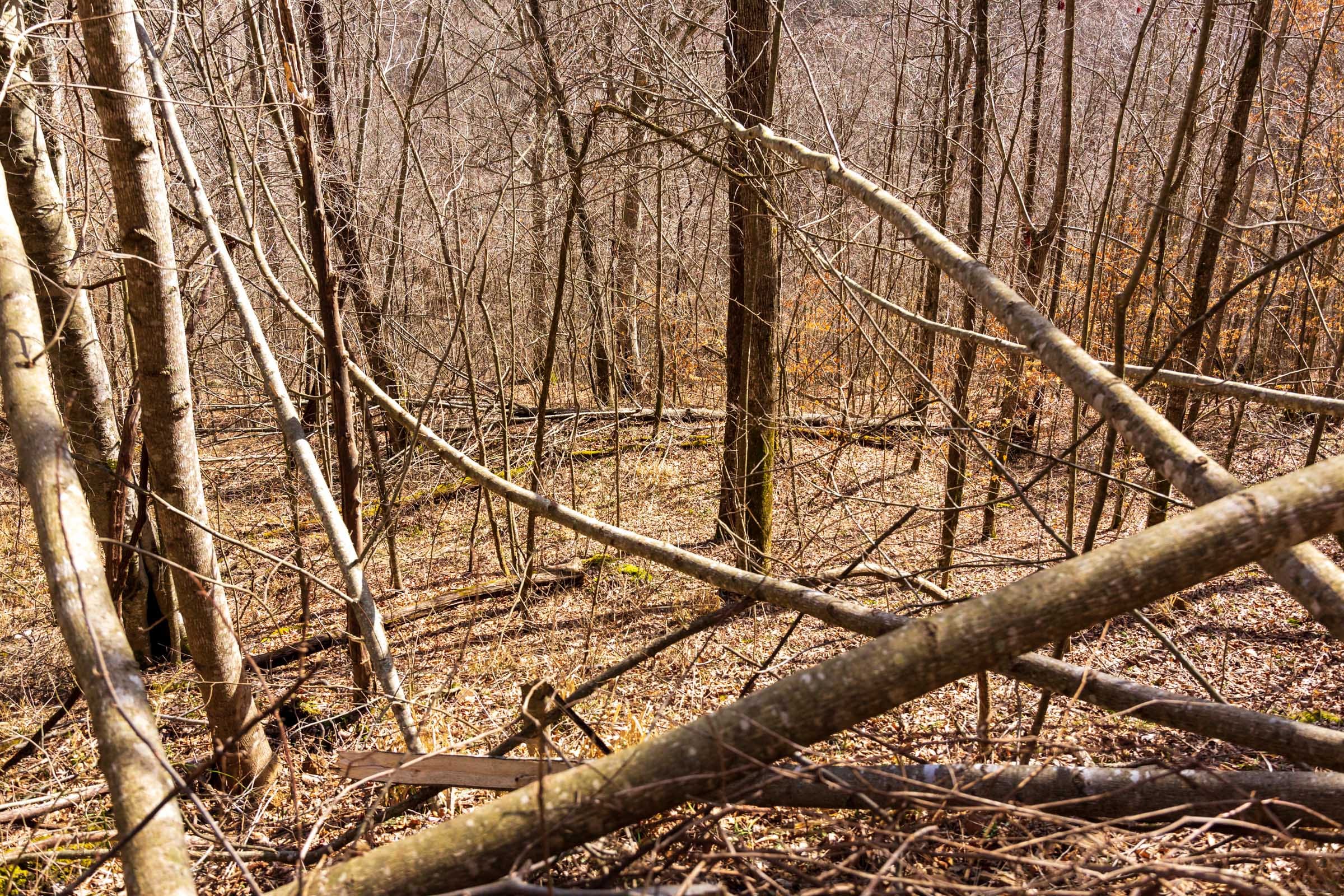 Blackstone Mountain Phase II Tract 82 photo 13