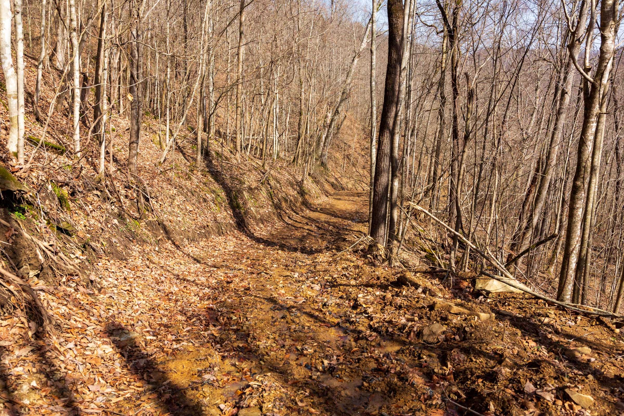 Blackstone Mountain Phase II Tract 82 photo 14