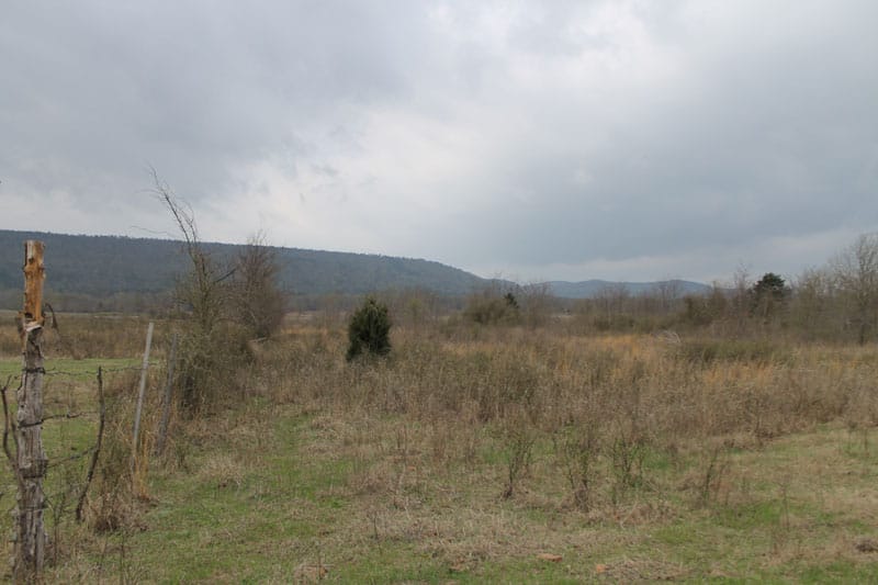 Daisy Meadows Tract 1 photo 2