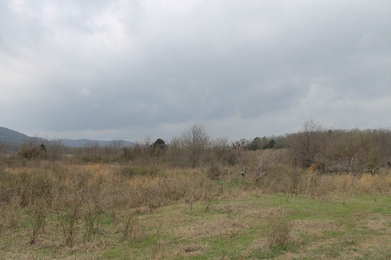 Daisy Meadows Tract 1 photo 3