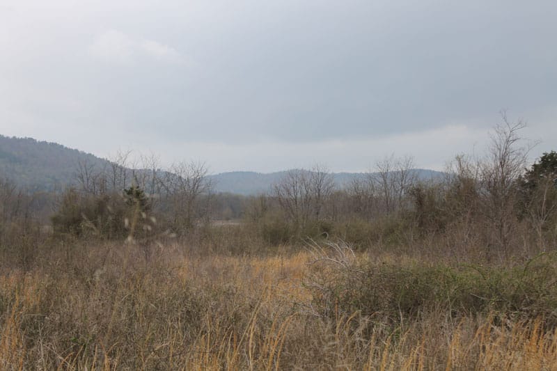 Daisy Meadows Tract 1 photo 4