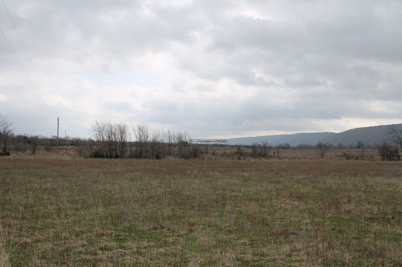 Daisy Meadows Tract 1 photo 8
