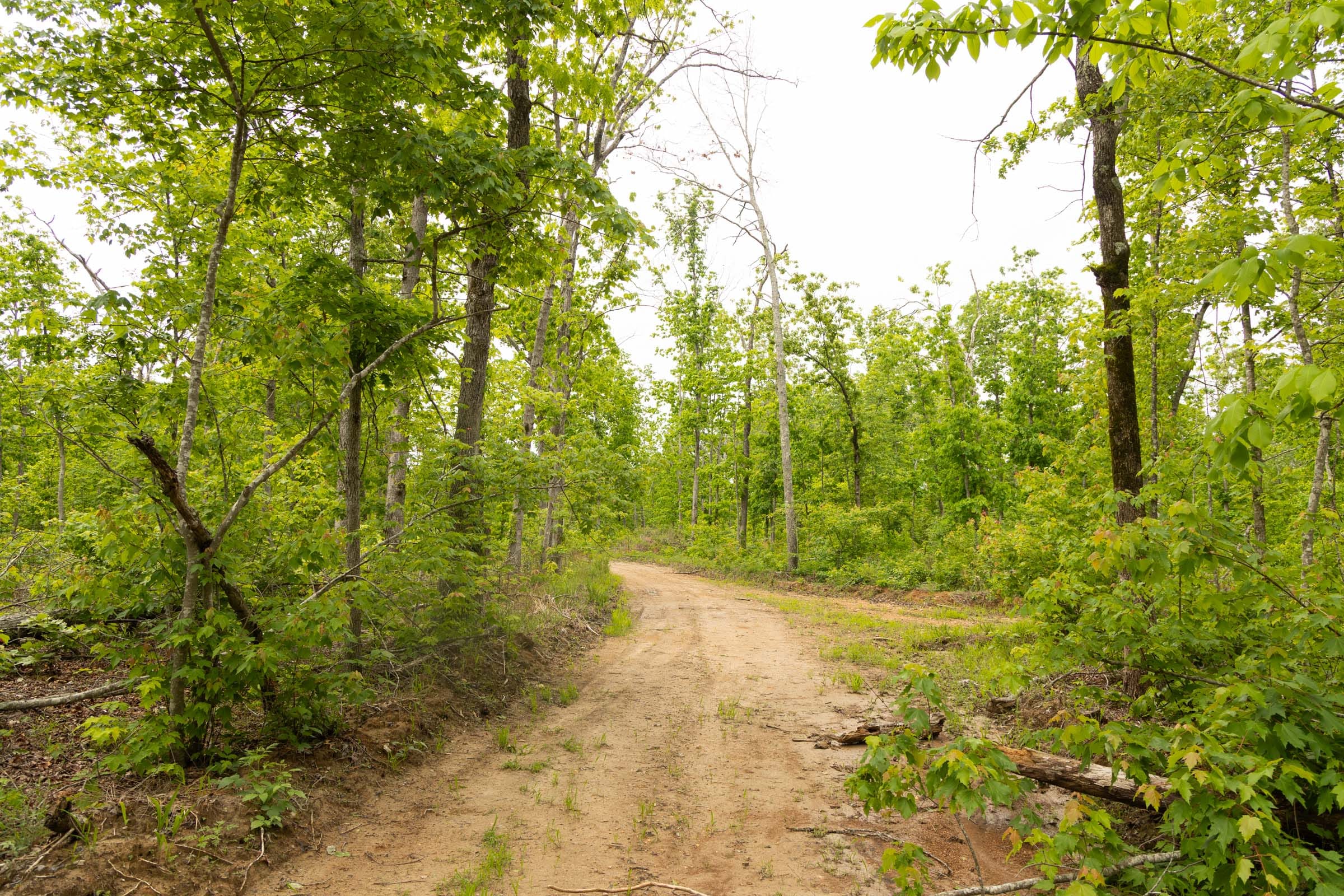 Stardust Estates Tract 23 photo 10