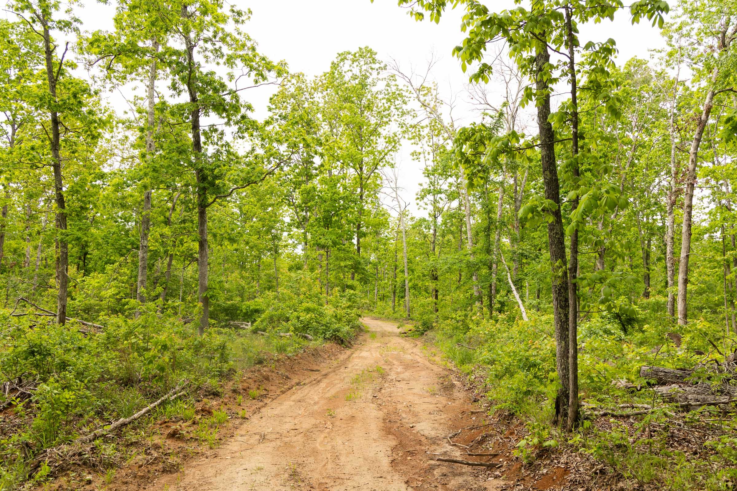 Stardust Estates Tract 23 photo 6