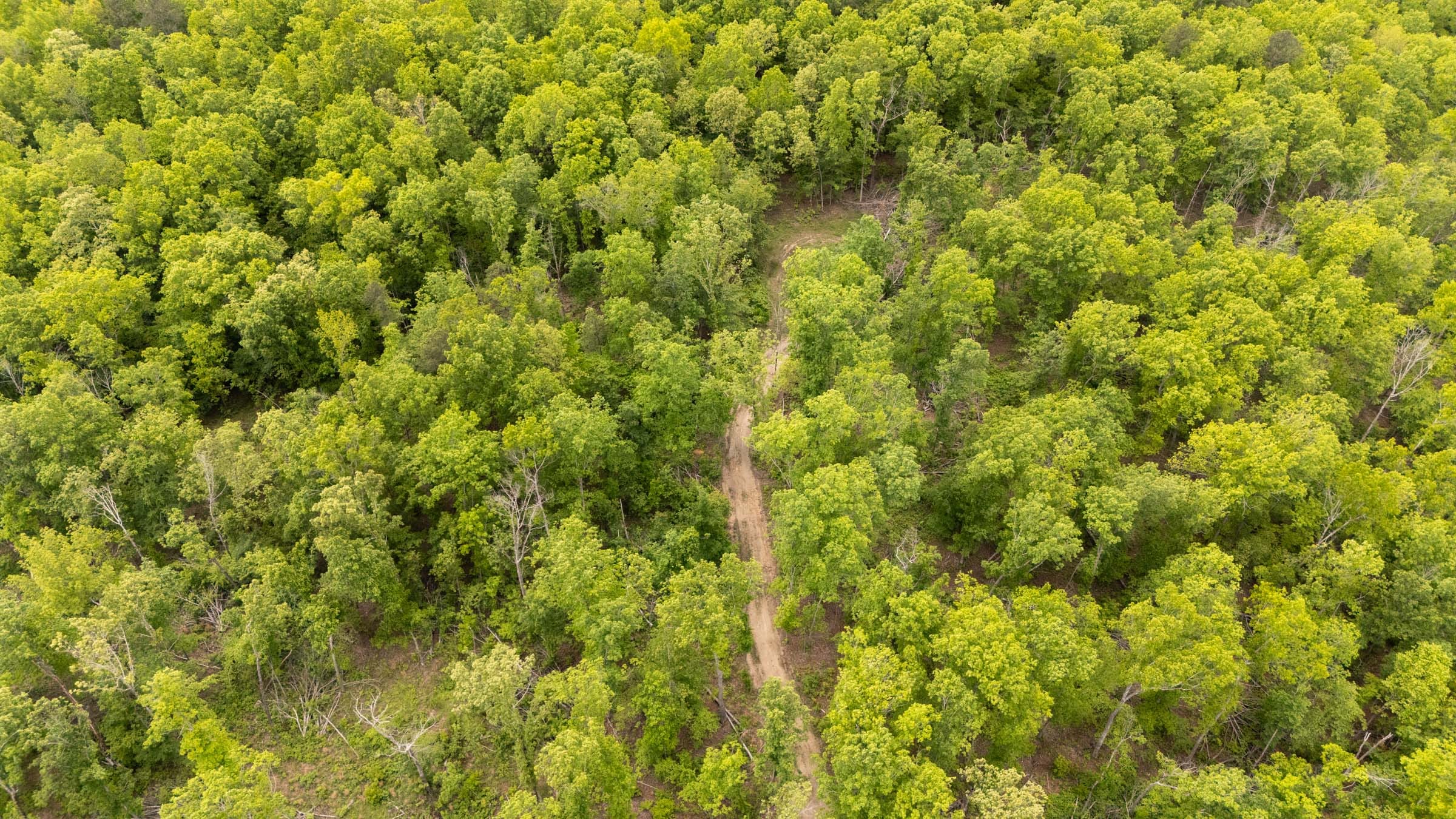 Stardust Estates Tract 23 photo 1