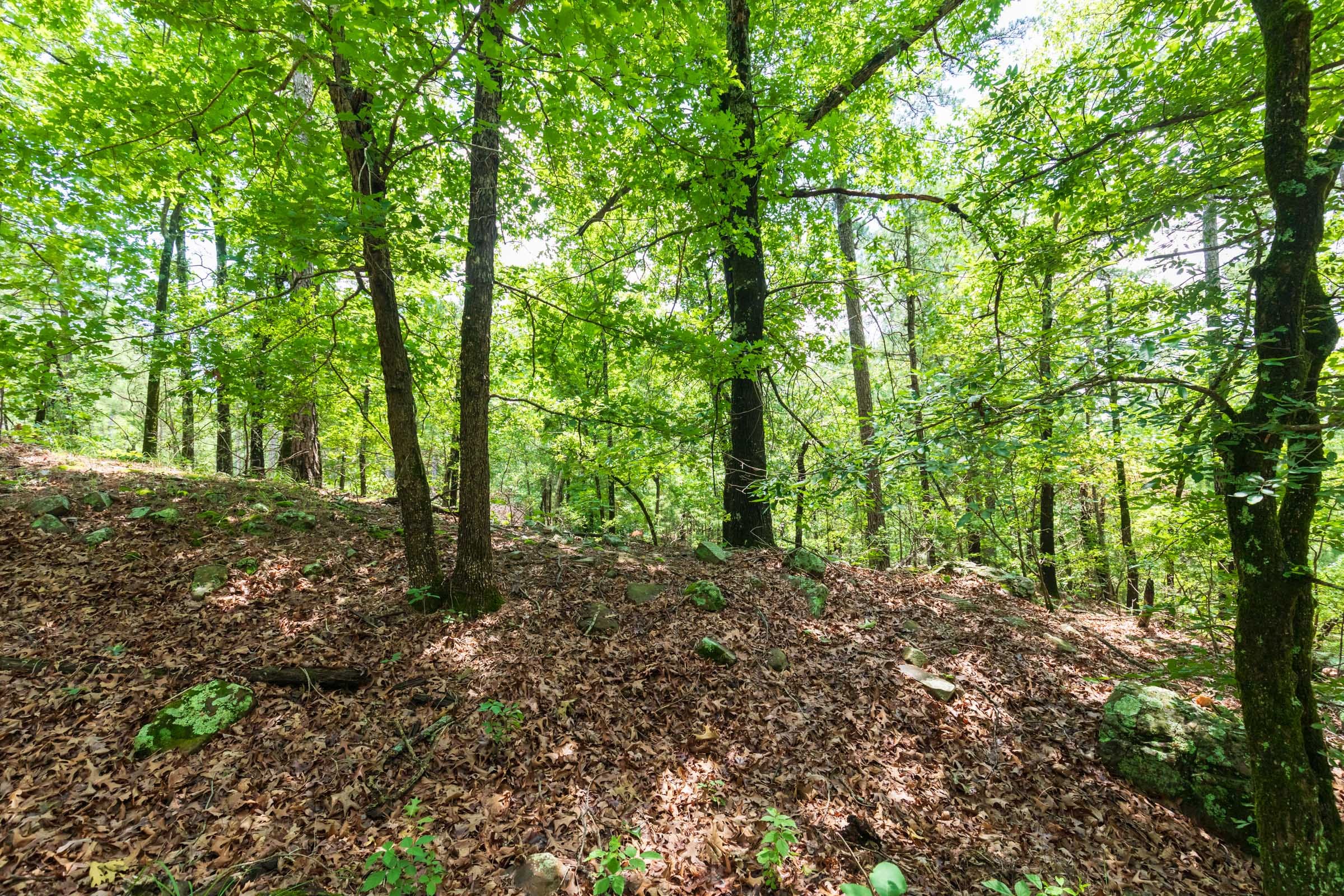 Stone Bridge Phase VI Tract 432 photo 5