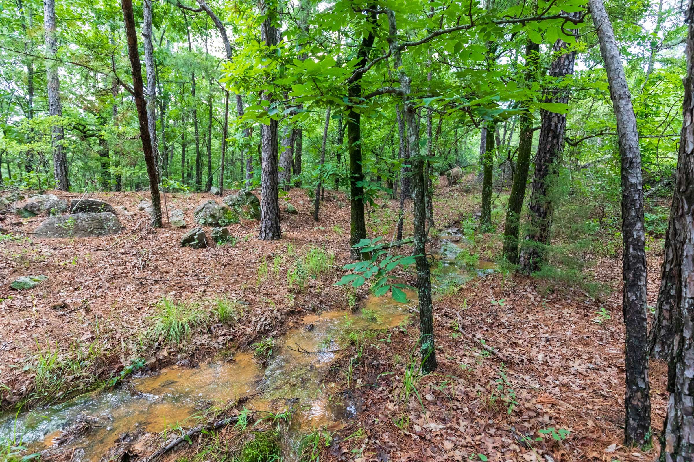 Stone Bridge Phase VI Tract 432 photo 9