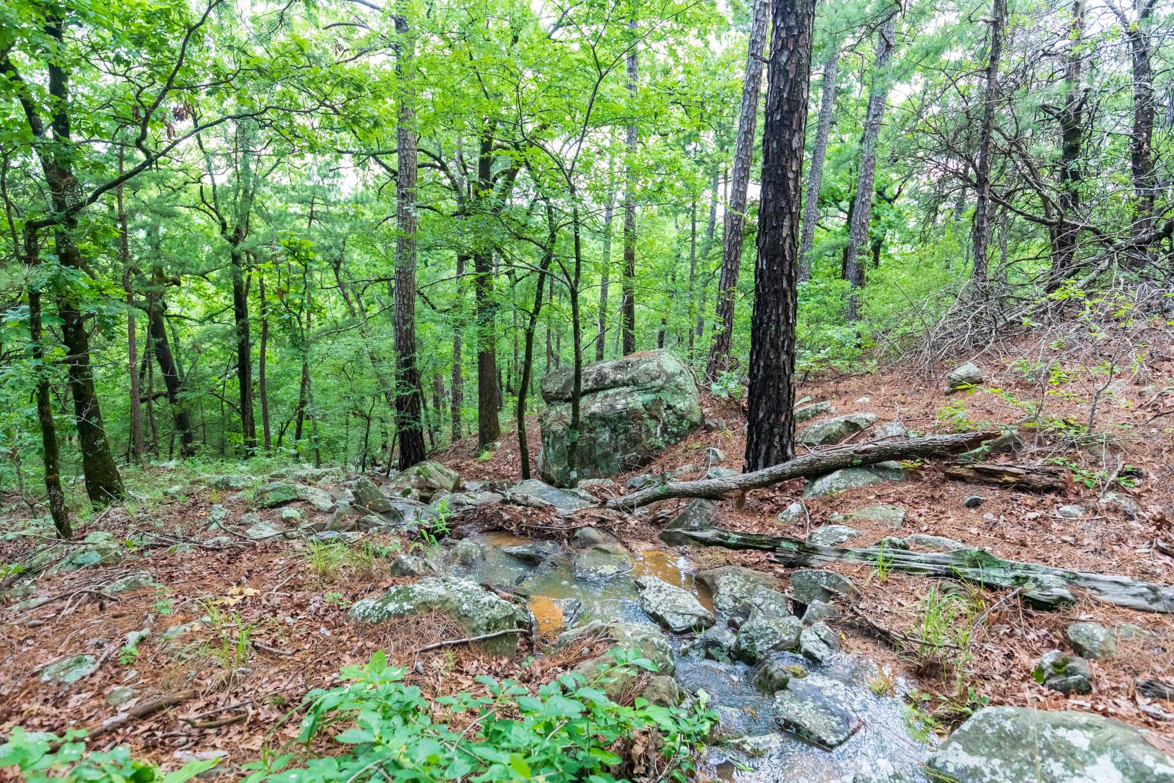 Stone Bridge Phase VI Tract 432 photo 2