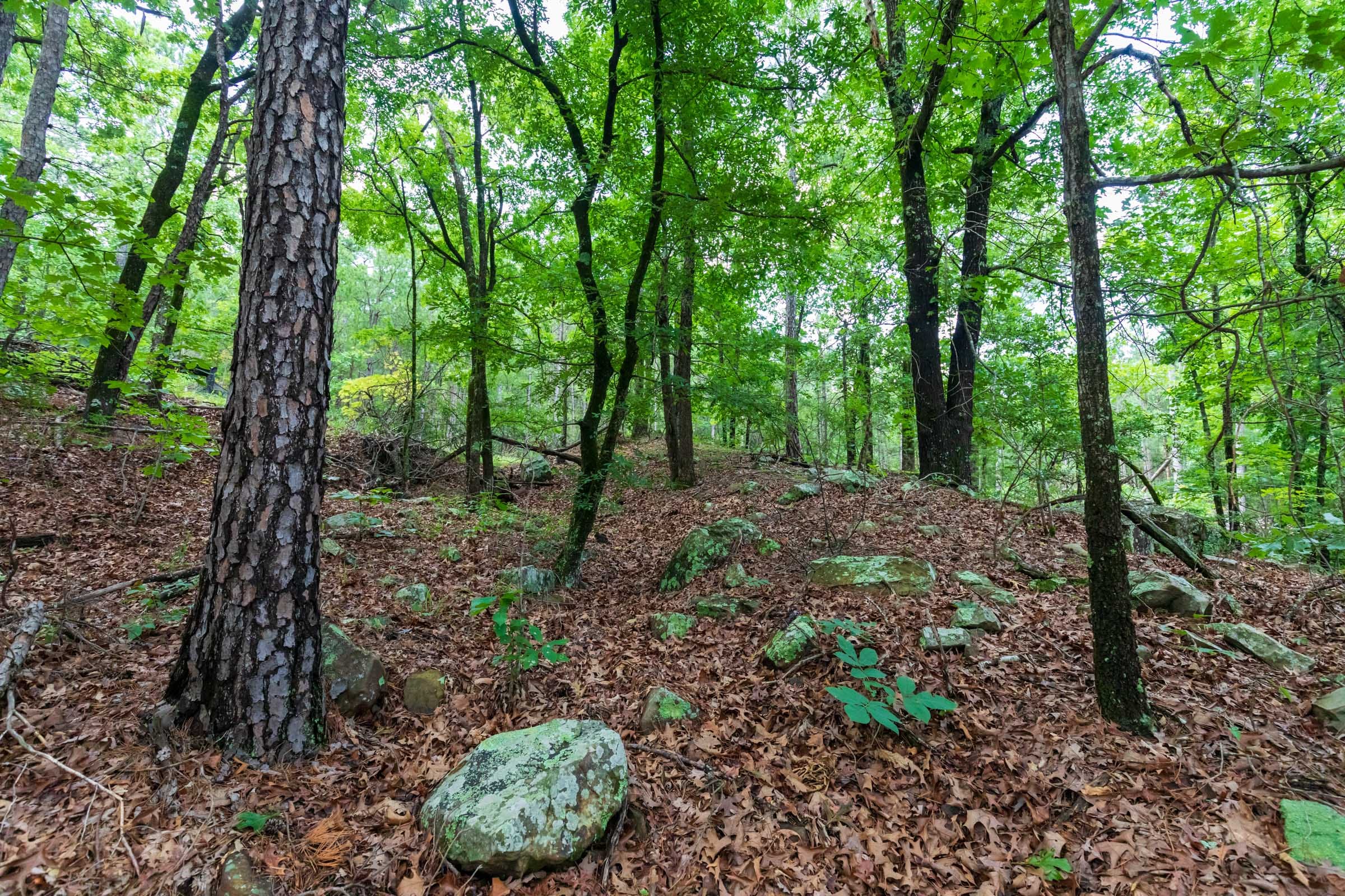 Stone Bridge Phase VI Tract 432 photo 8