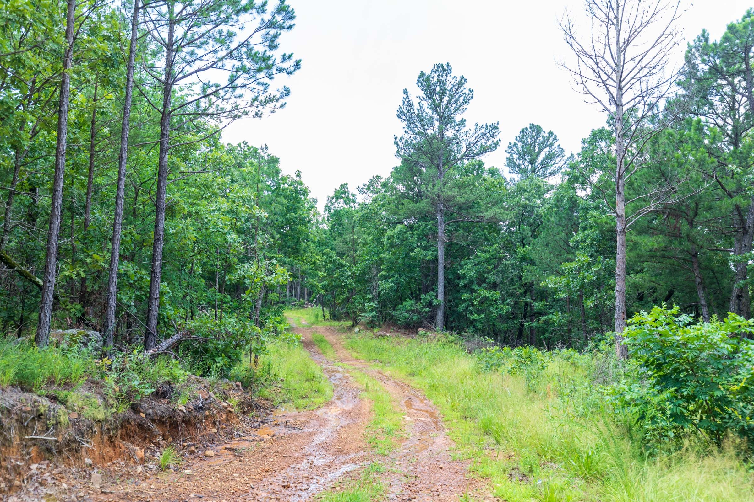 Stone Bridge Phase VI Tract 432 photo 6