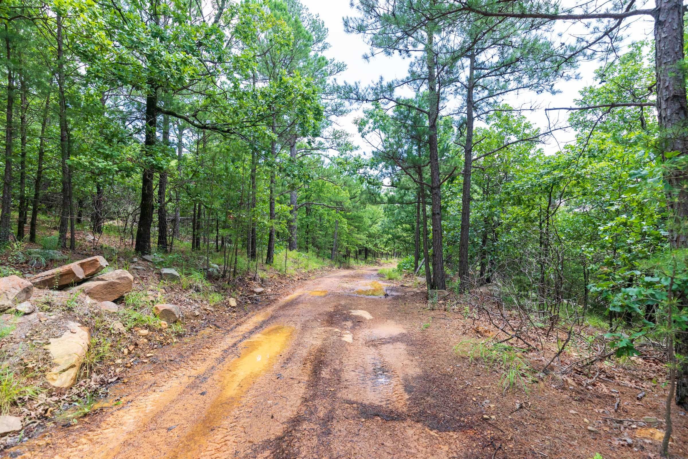 Stone Bridge Phase VI Tract 432 photo 1