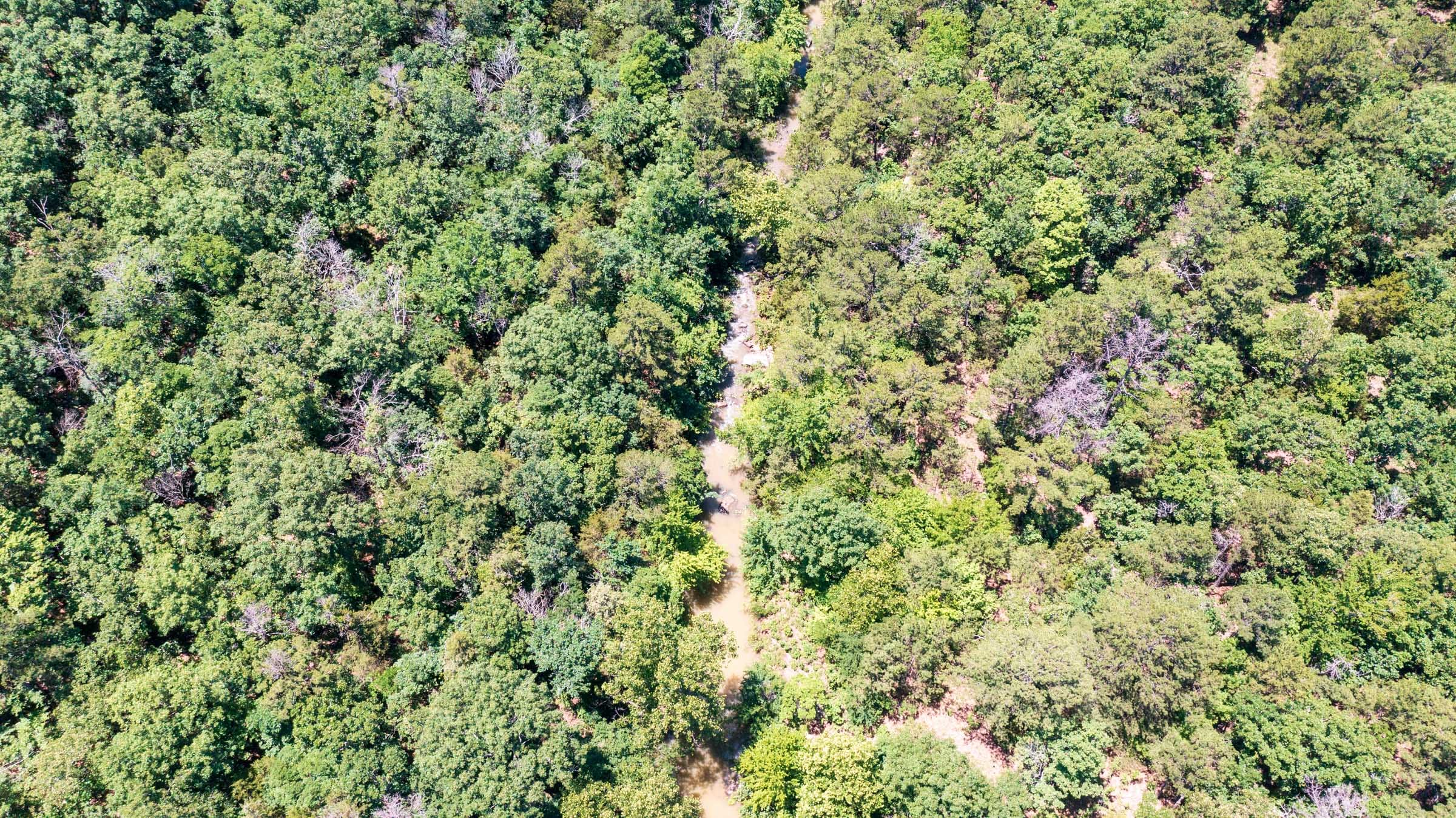 Stone Bridge Phase VI Tract 432 photo 10