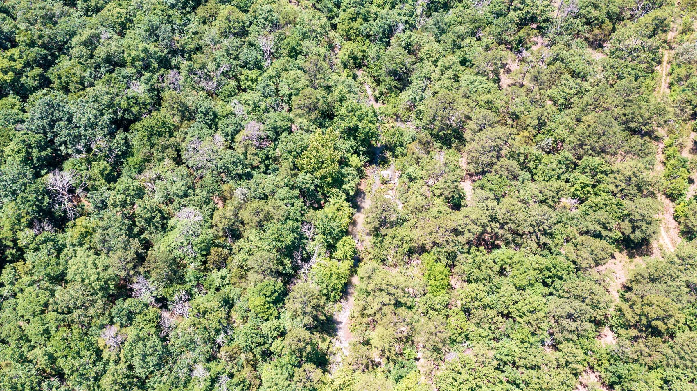 Stone Bridge Phase VI Tract 432 photo 12