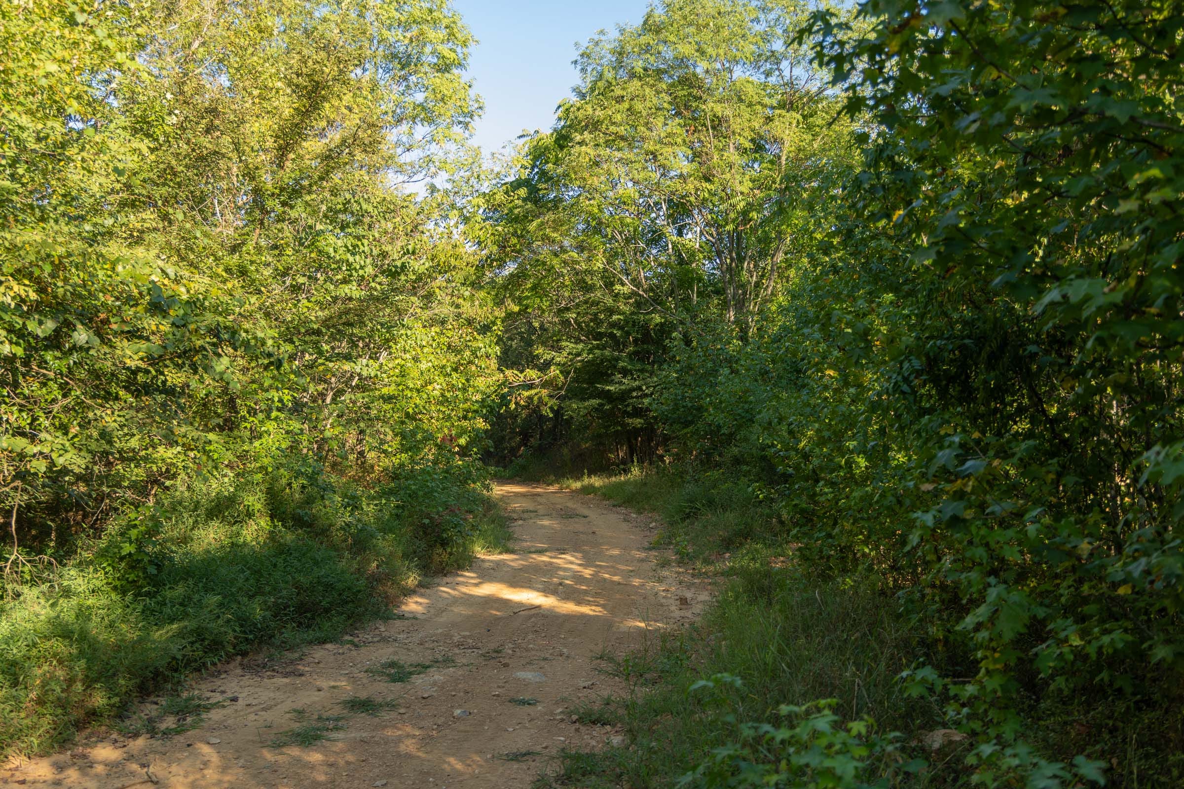 Big White Oak Tract 100 photo 17