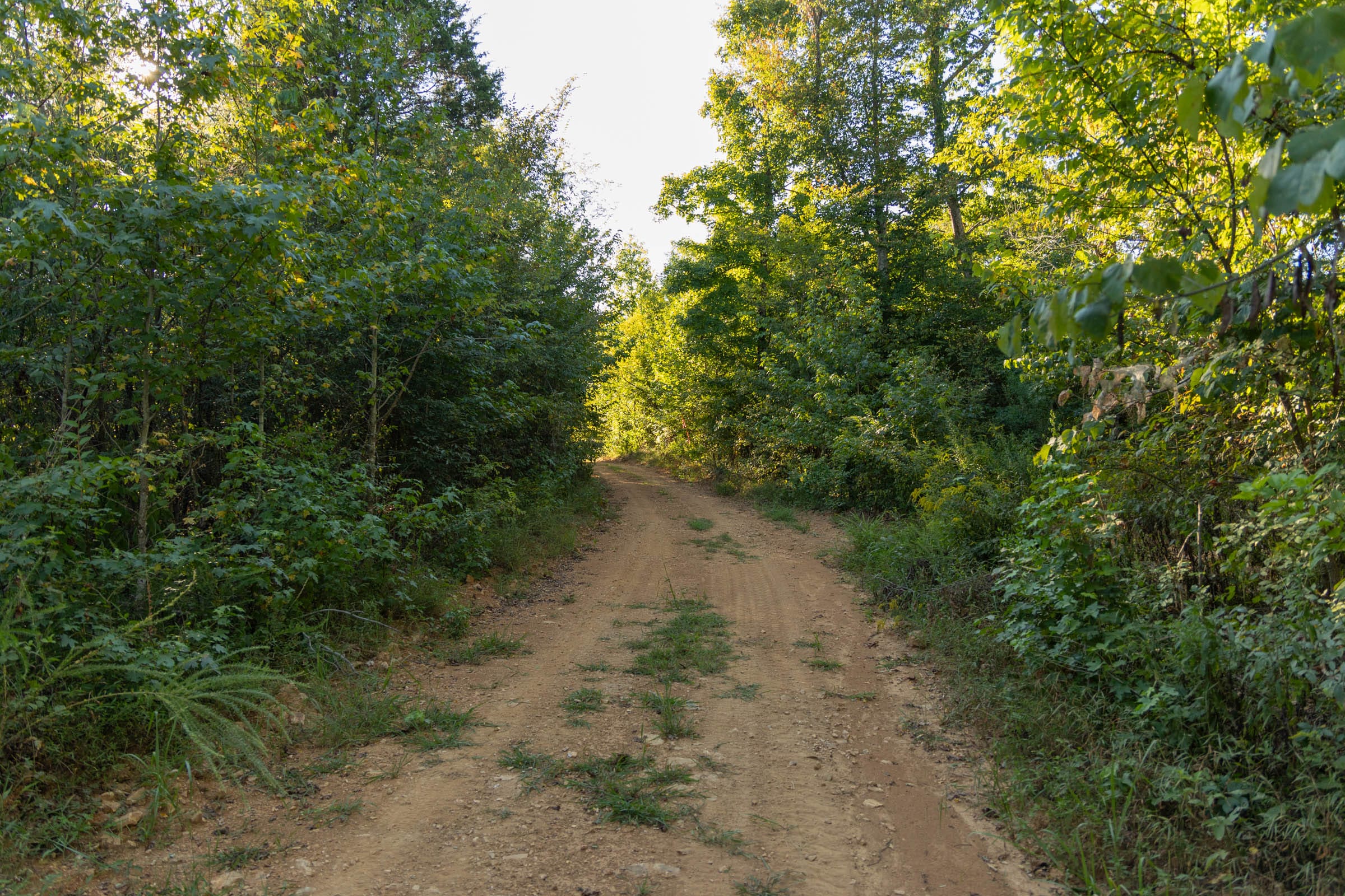 Big White Oak Tract 100 photo 1