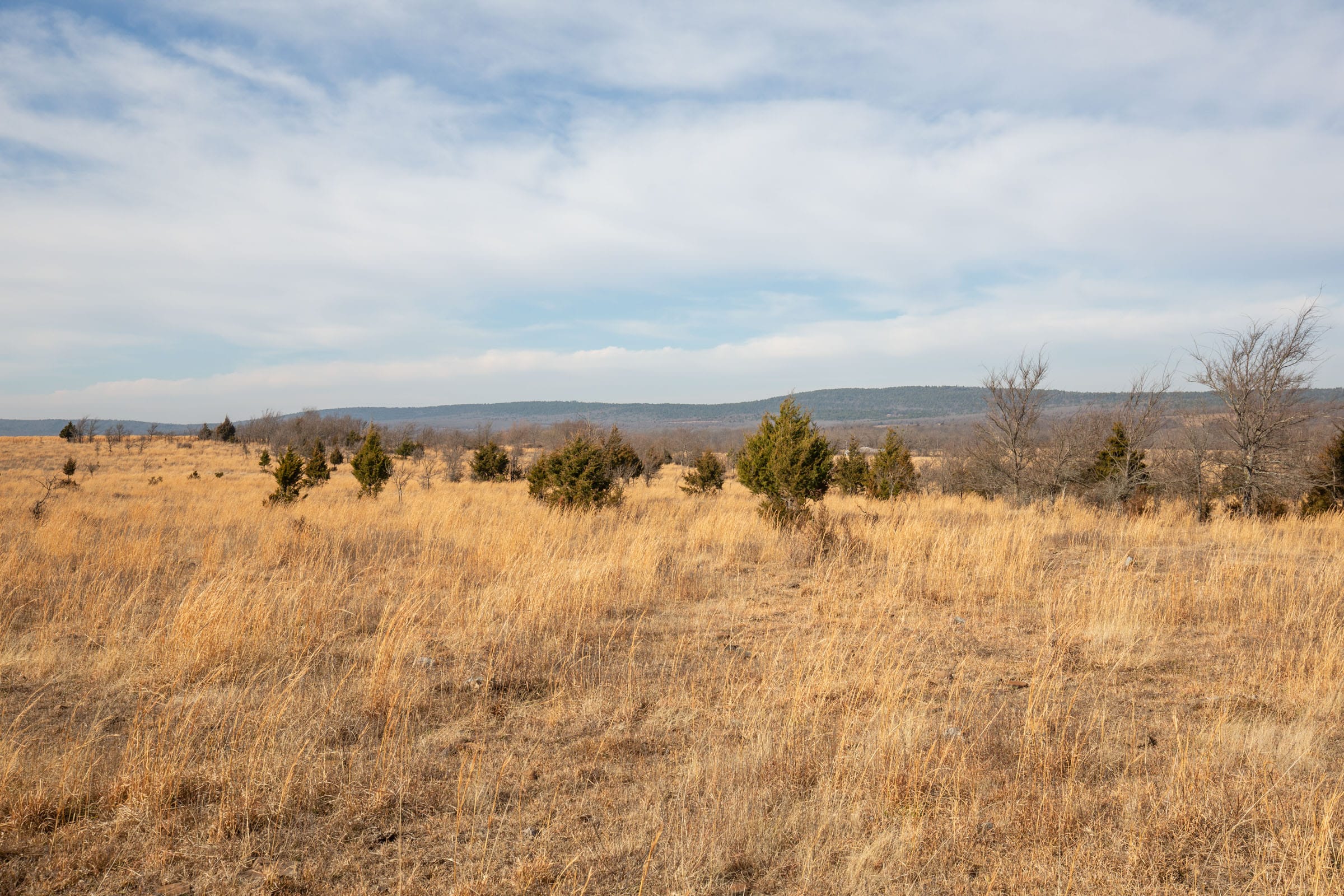 Painted Horse Tract 33 photo 2