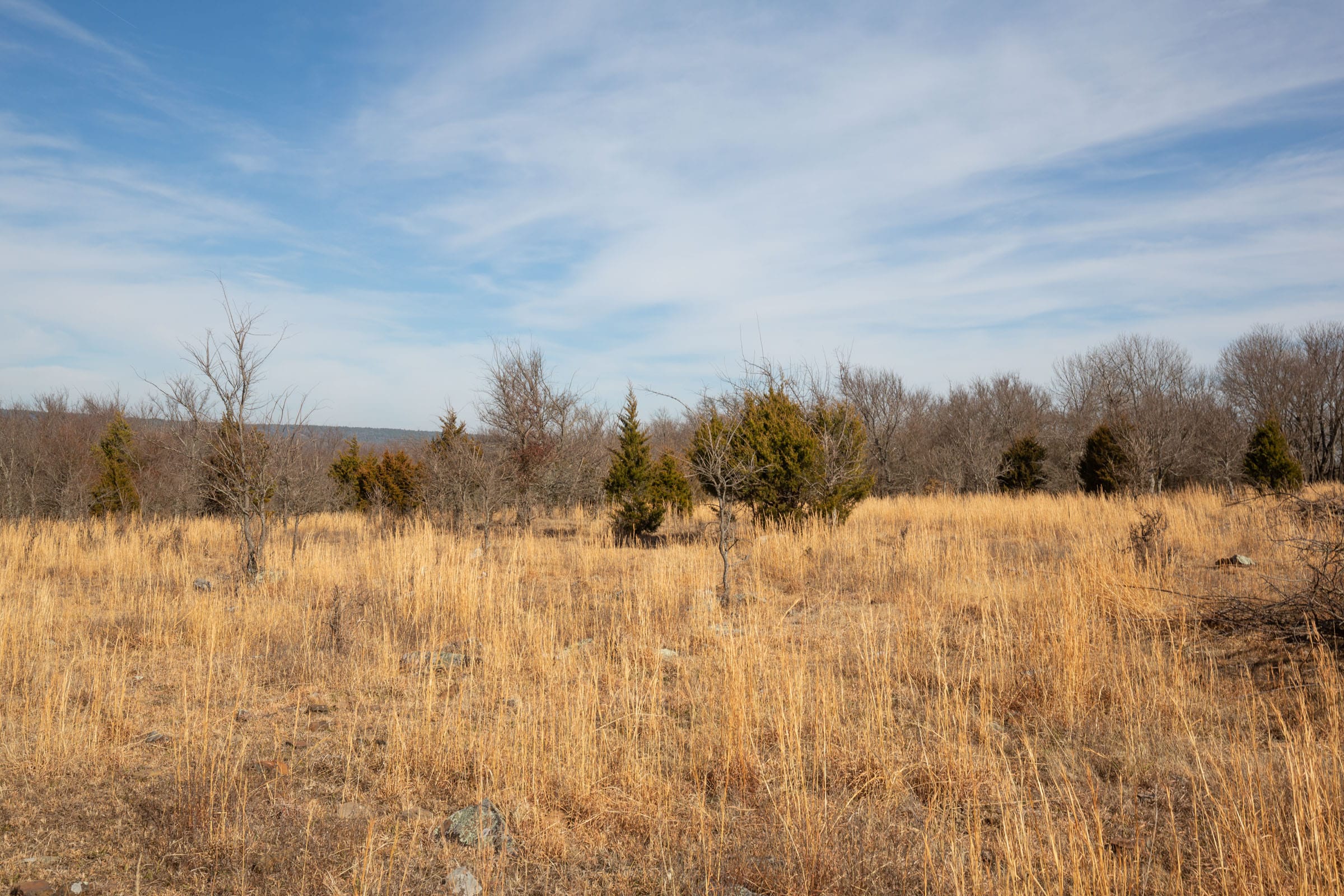 Painted Horse Tract 33 photo 6