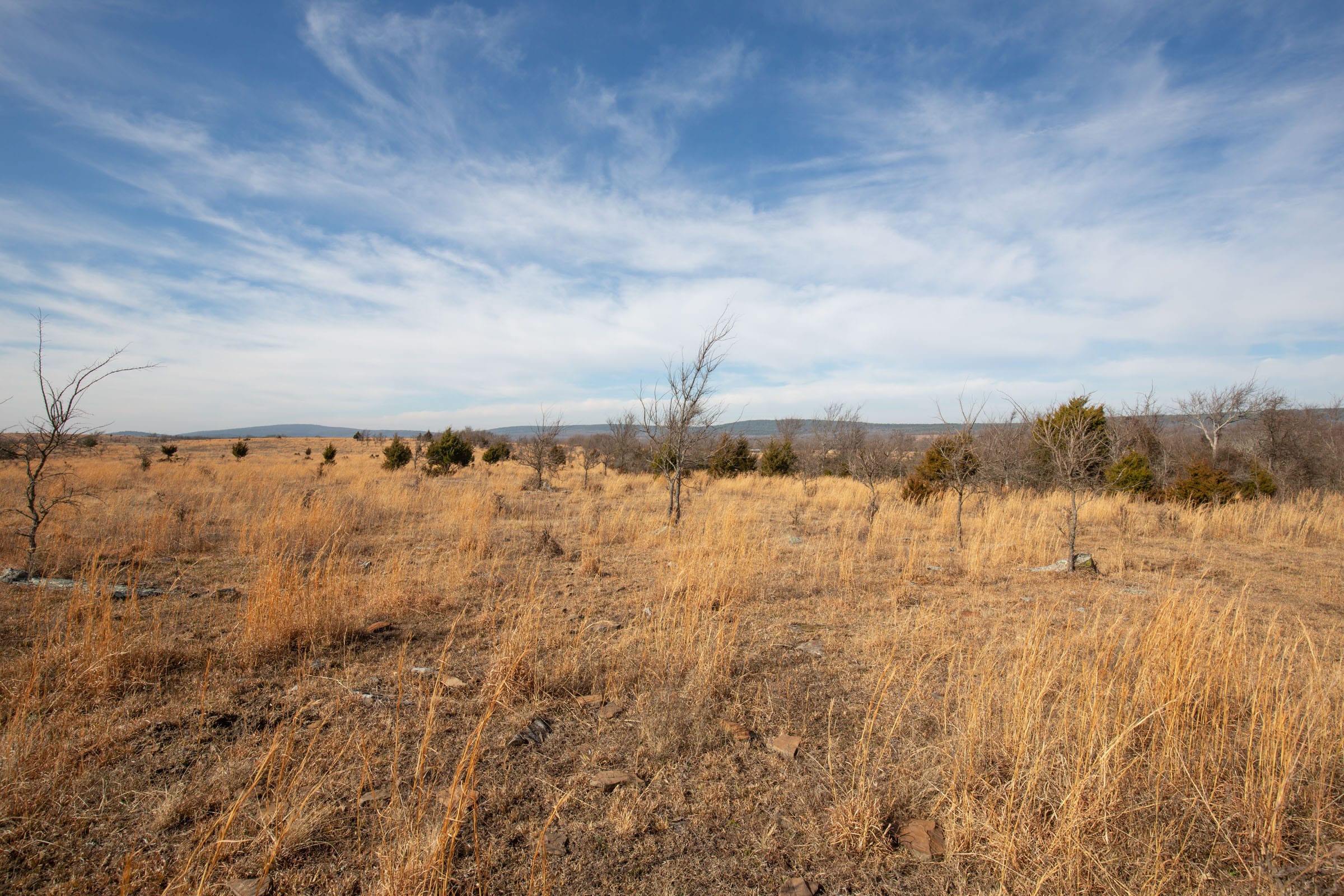 Painted Horse Tract 33 photo 7