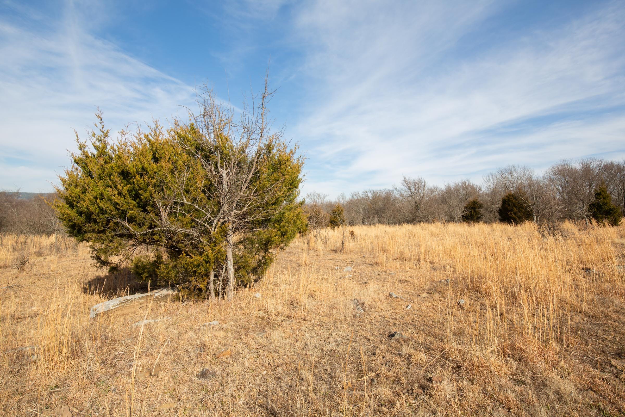 Painted Horse Tract 33 photo 3