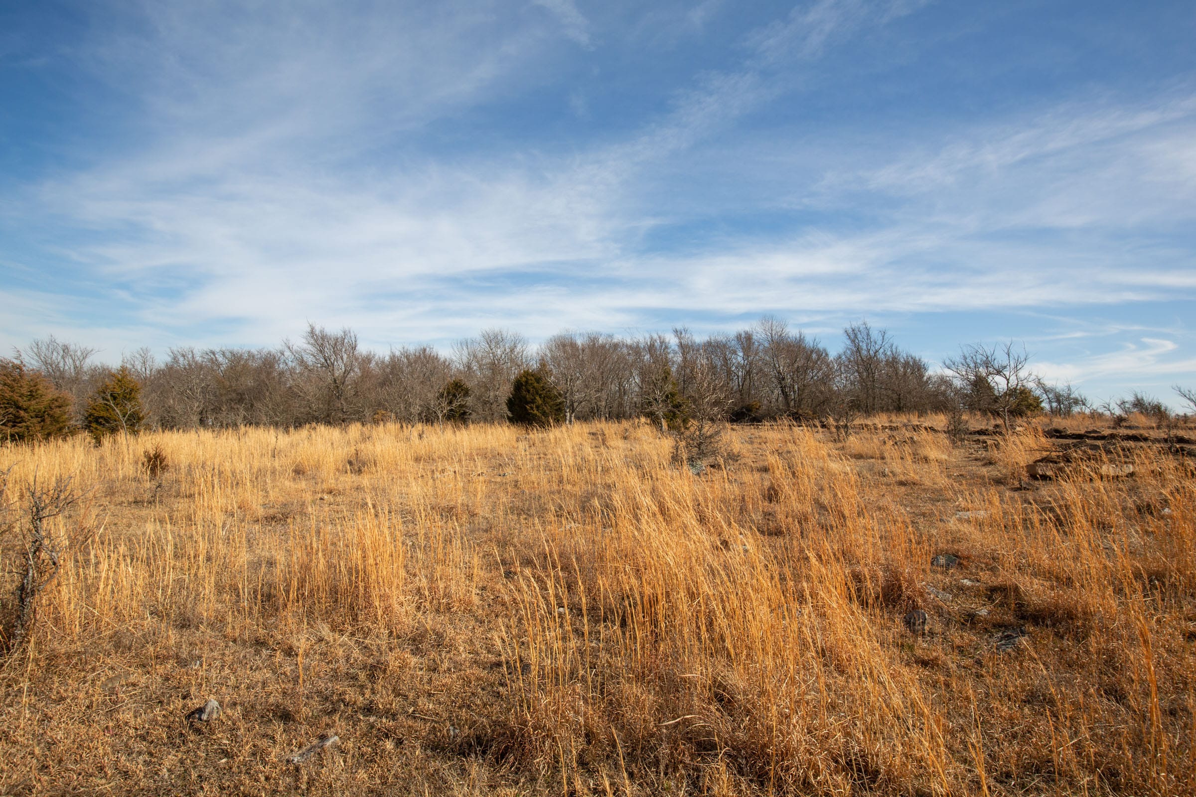 Painted Horse Tract 33 photo 10