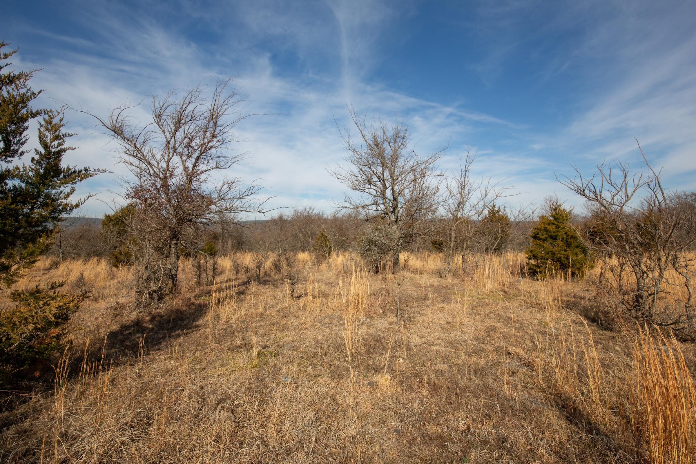 Painted Horse Tract 33 photo 12