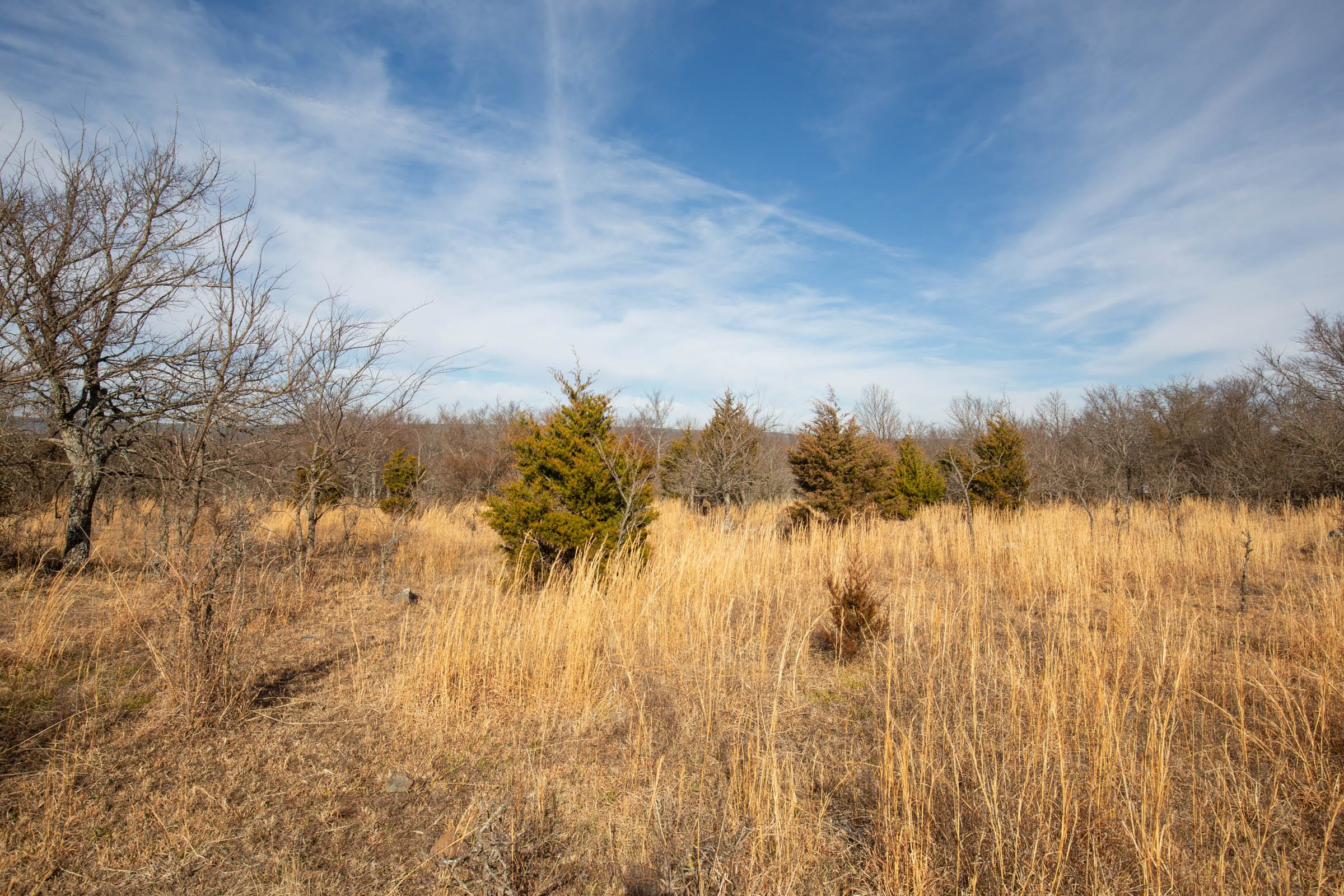 Painted Horse Tract 33 photo 9
