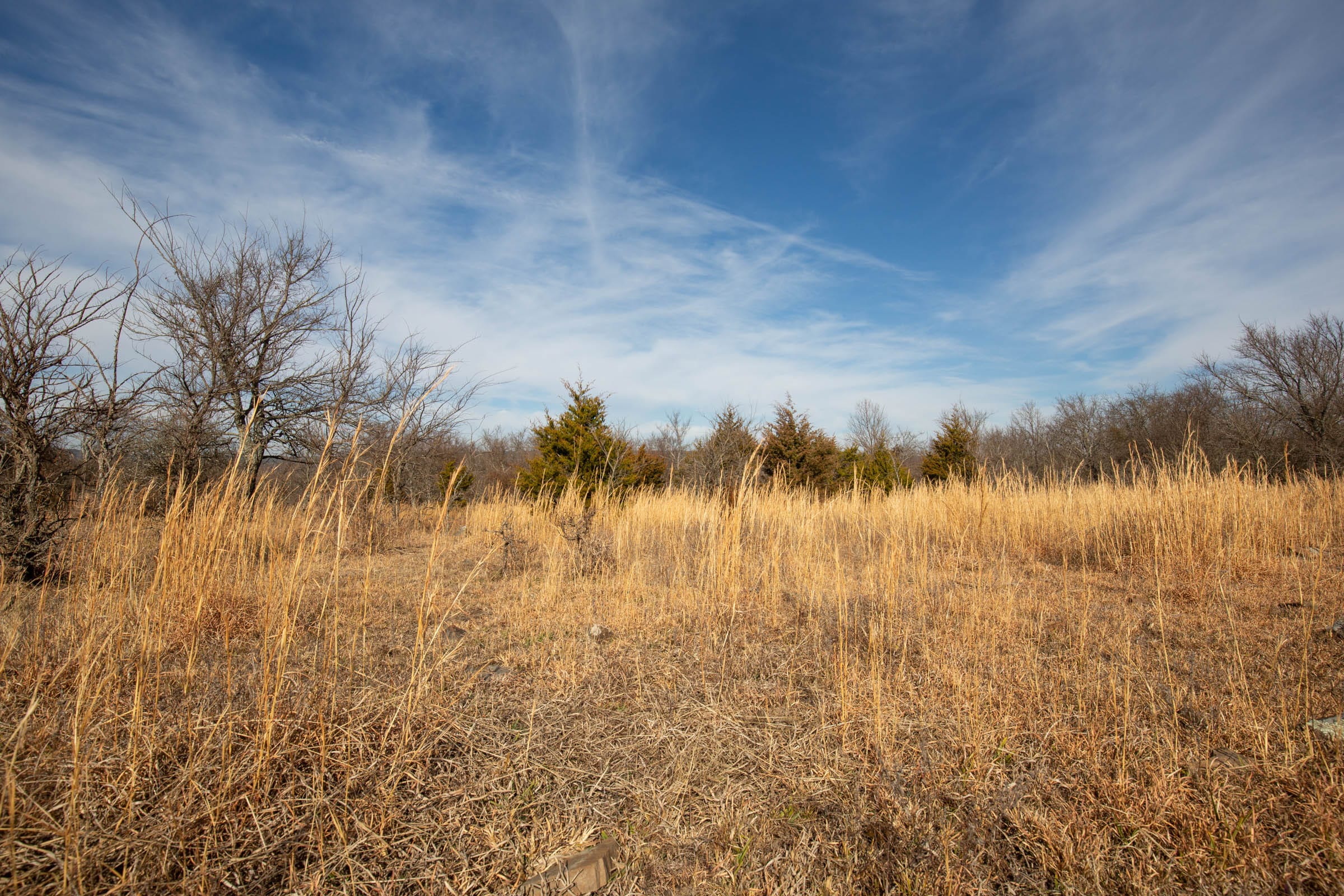 Painted Horse Tract 33 photo 11