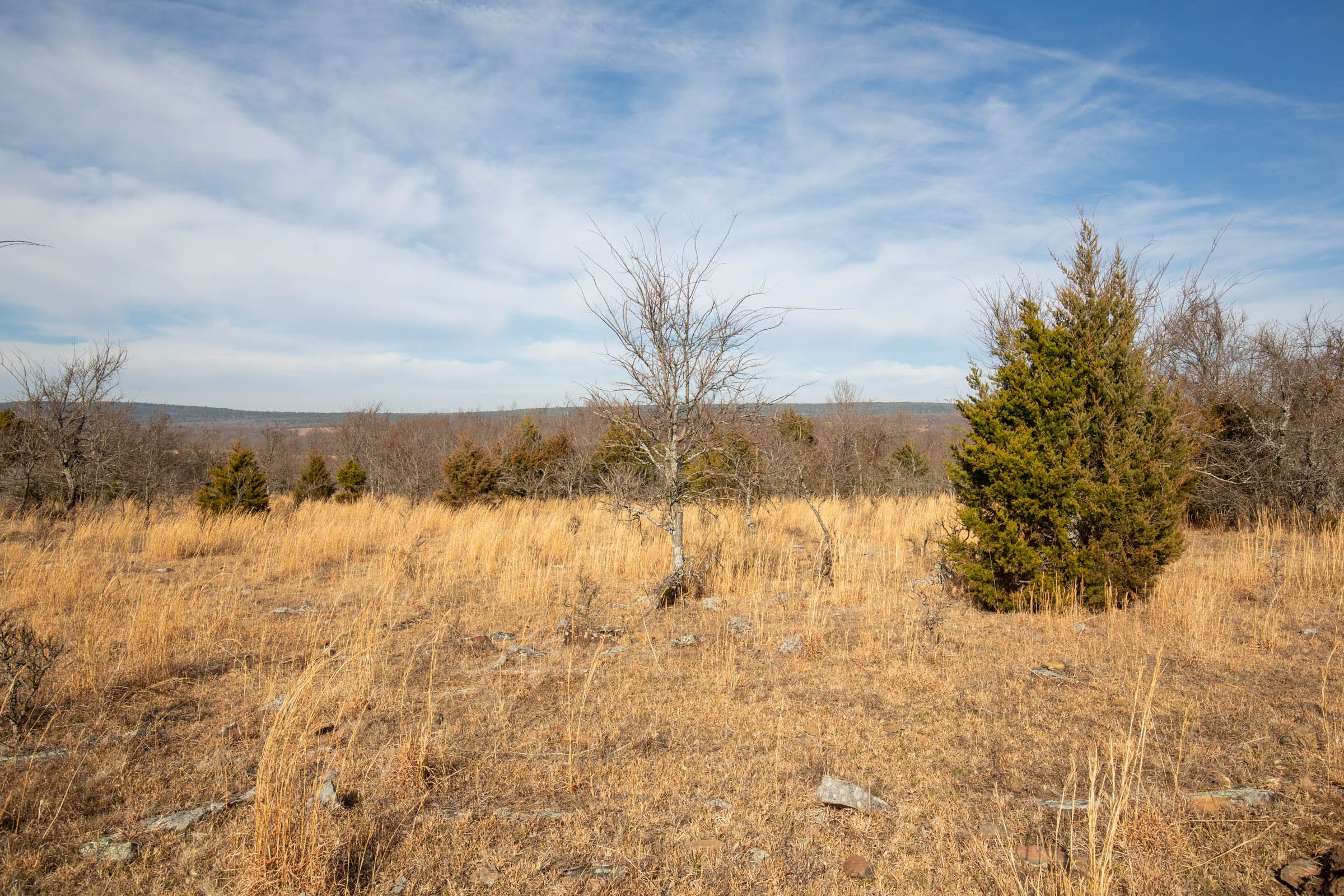 Painted Horse Tract 33 photo 15