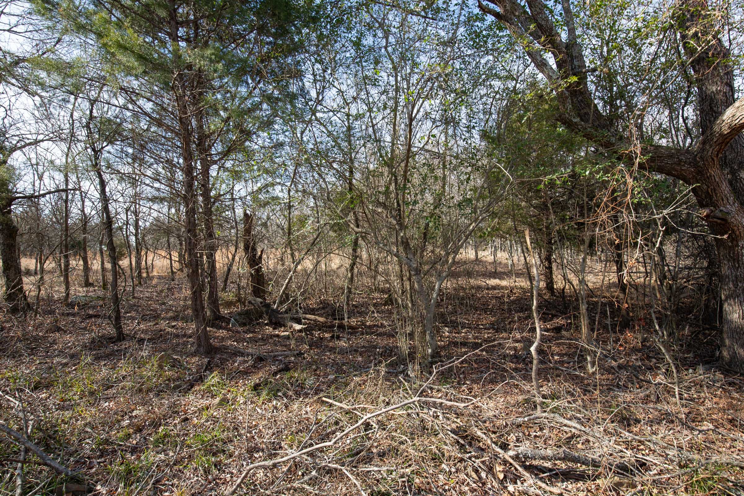 Painted Horse Tract 33 photo 17
