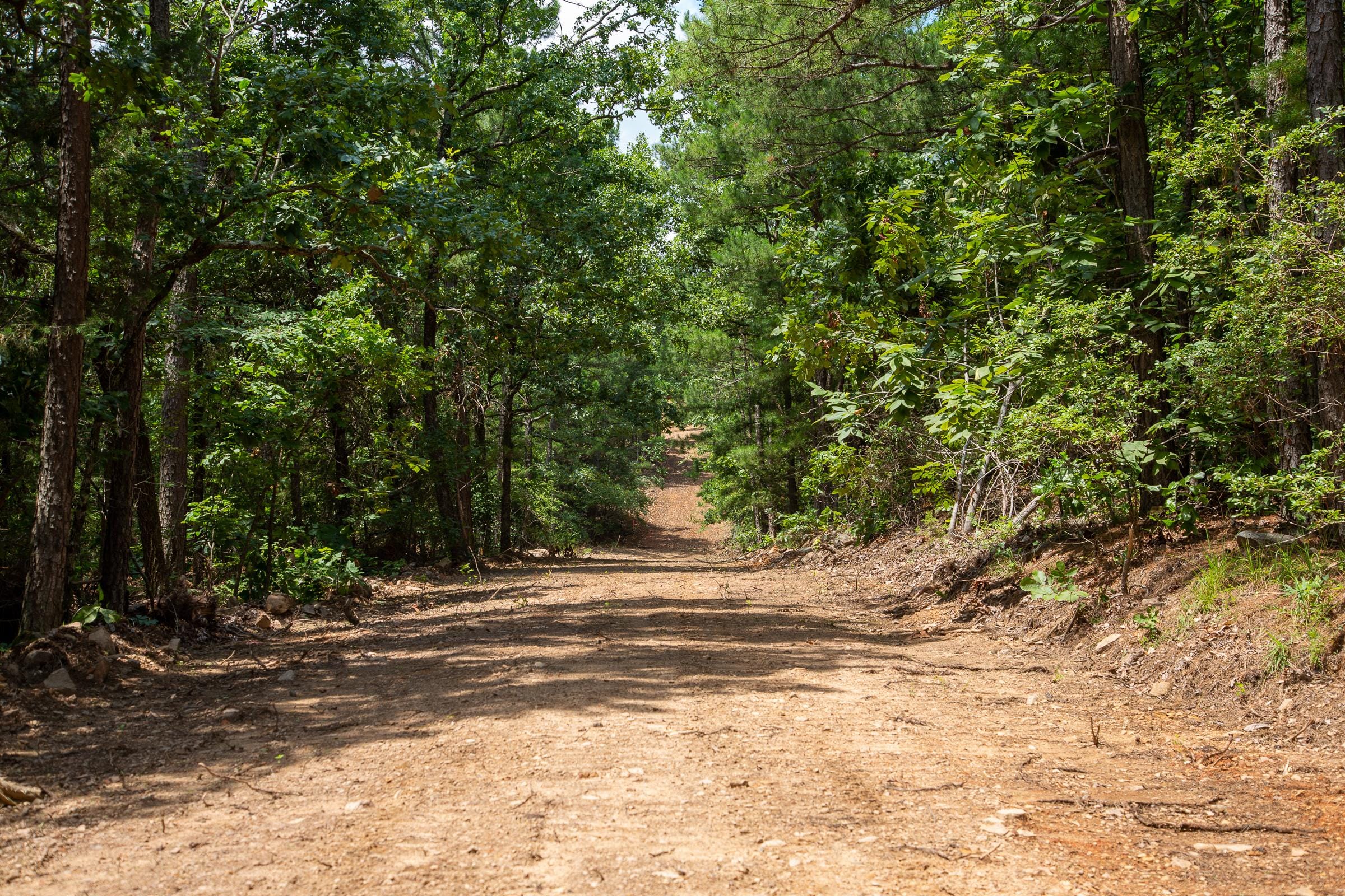 Tyler Stone Ranch Tract 35 photo 5