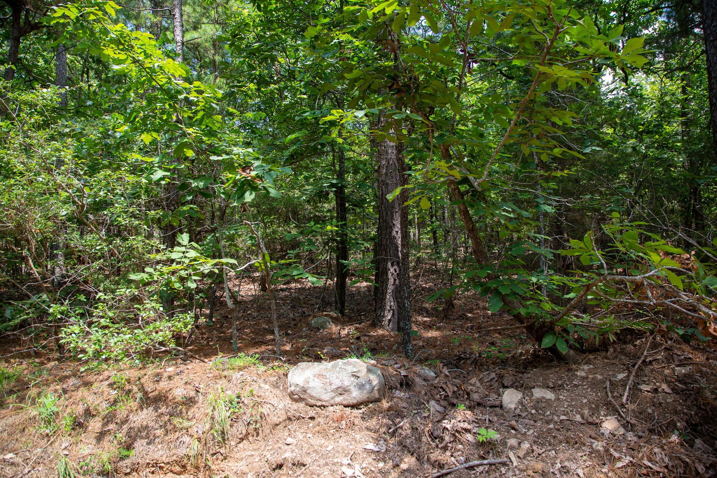 Tyler Stone Ranch Tract 35 photo 1