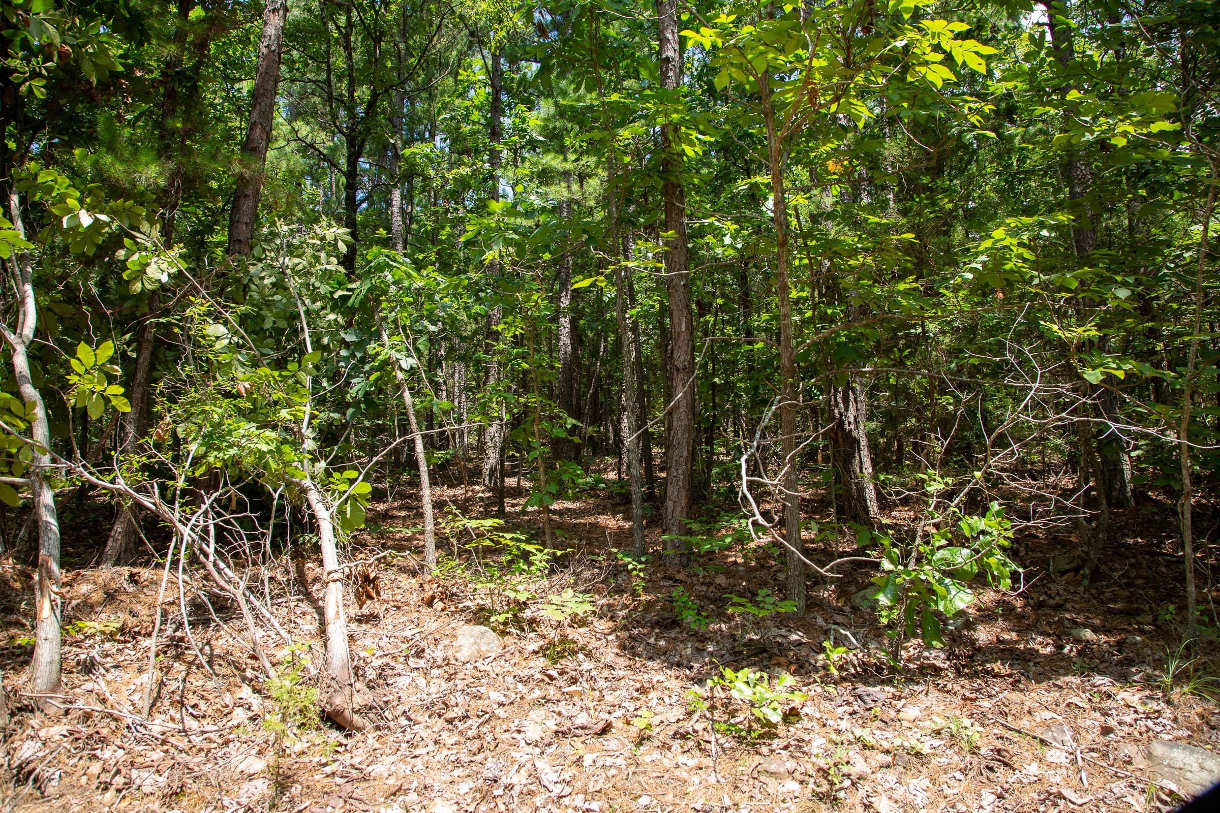 Tyler Stone Ranch Tract 35 photo 6