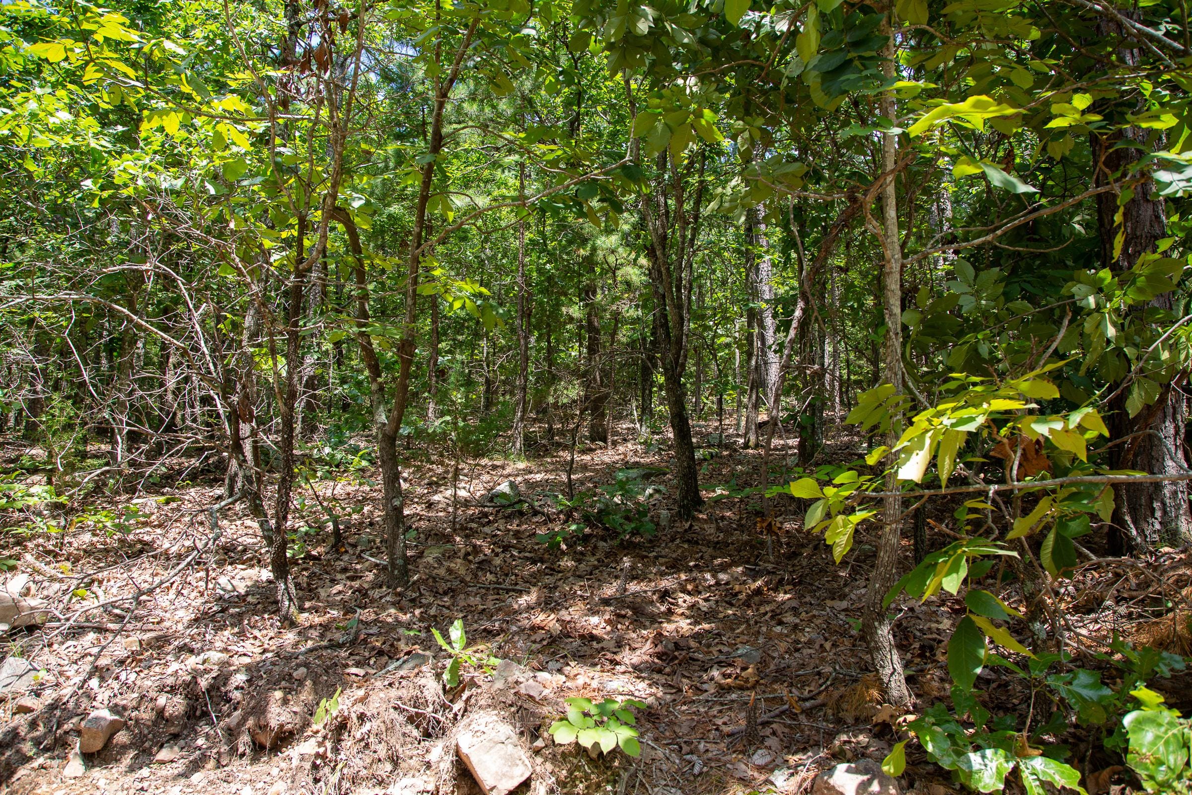 Tyler Stone Ranch Tract 35 photo 4