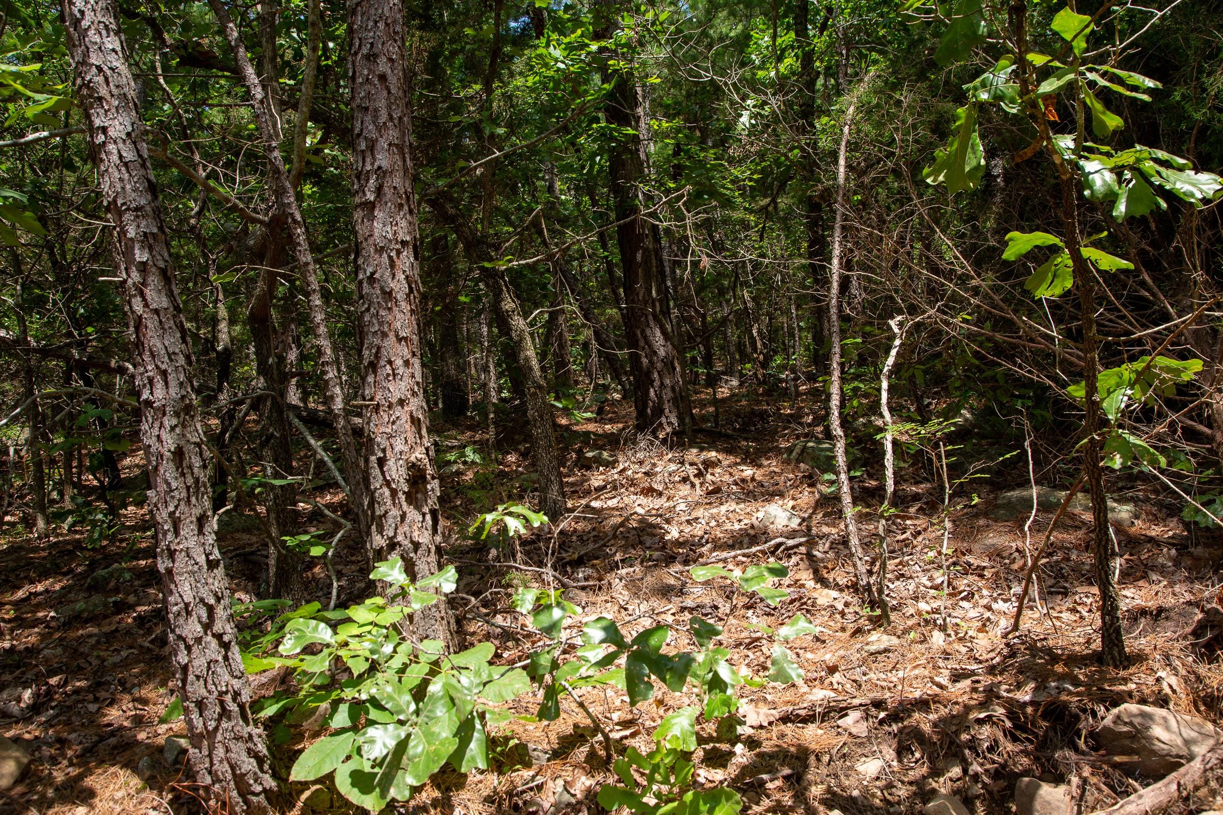 Tyler Stone Ranch Tract 35 photo 8
