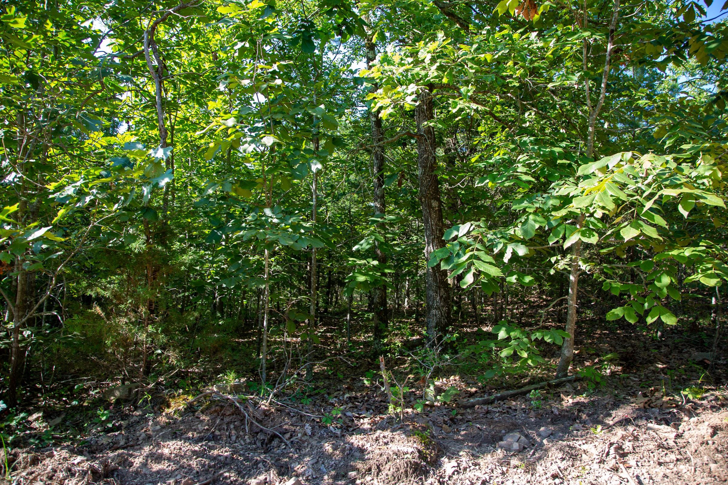 Tyler Stone Ranch Tract 32 photo 3