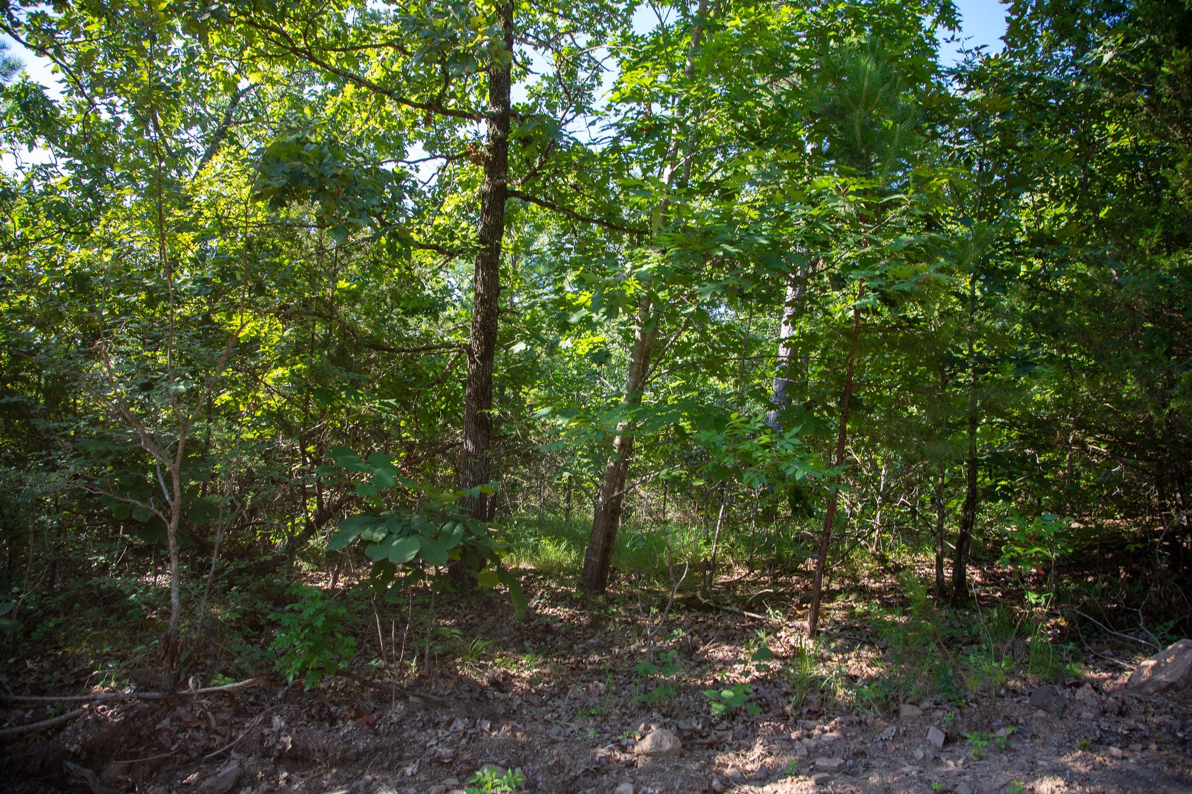 Tyler Stone Ranch Tract 32 photo 4