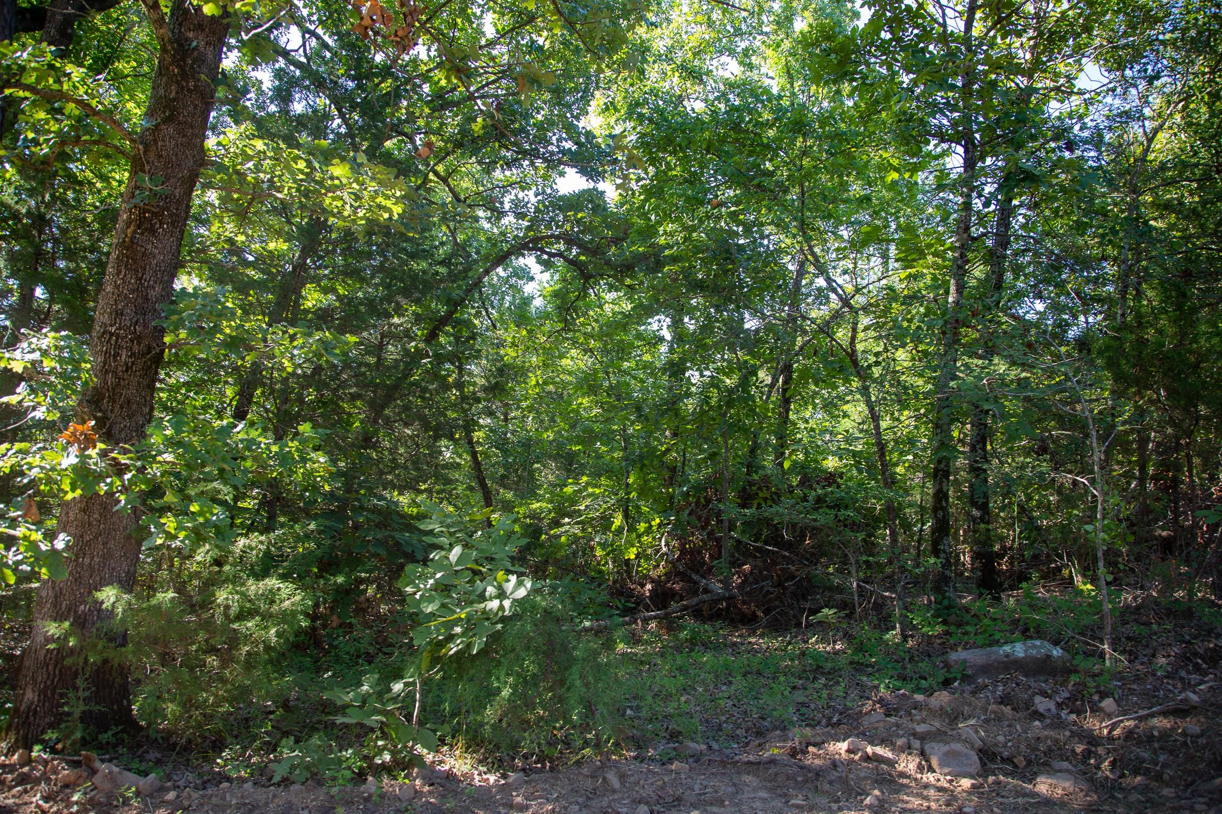 Tyler Stone Ranch Tract 32 photo 6