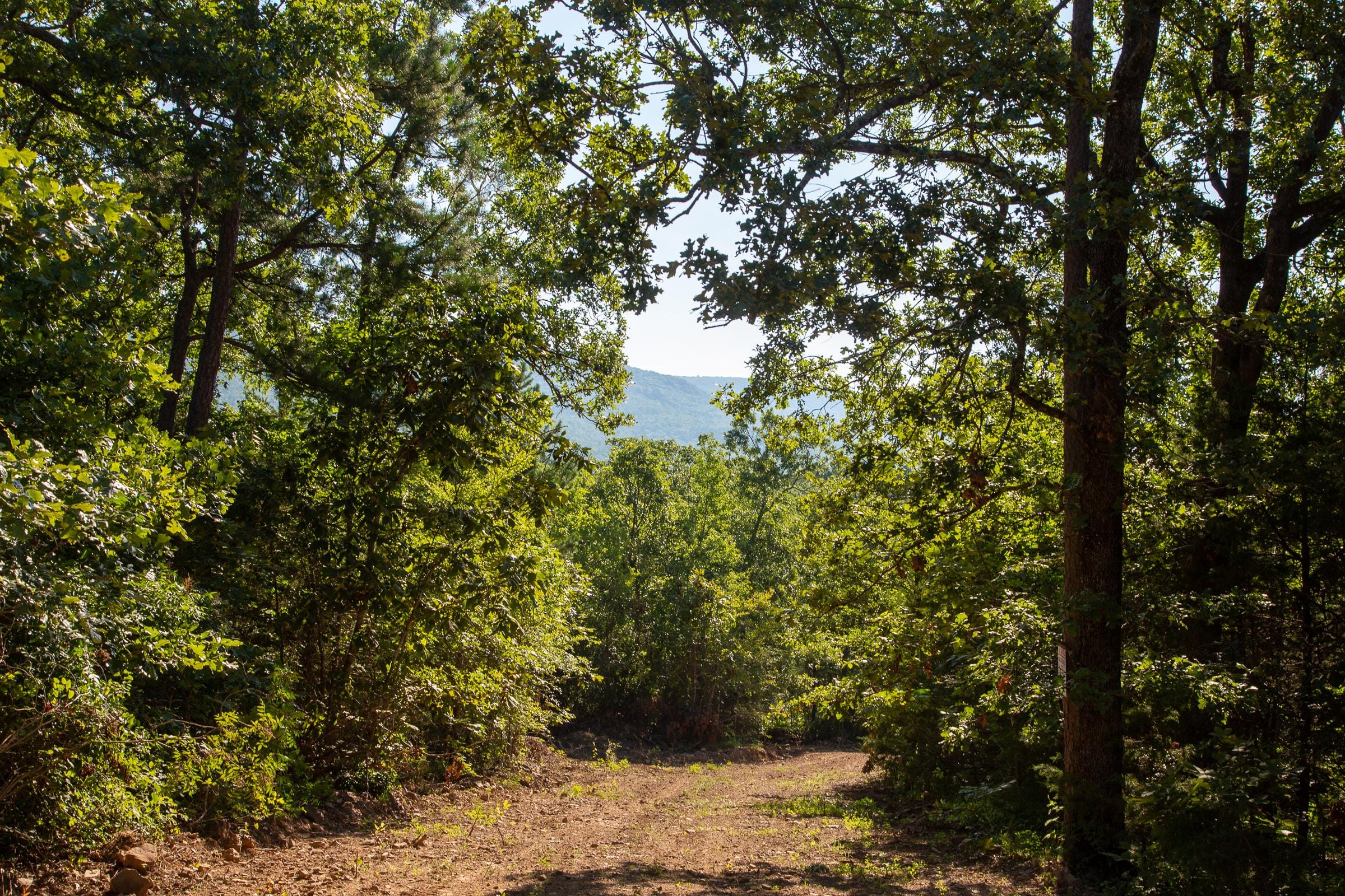 Tyler Stone Ranch Tract 32 photo 1