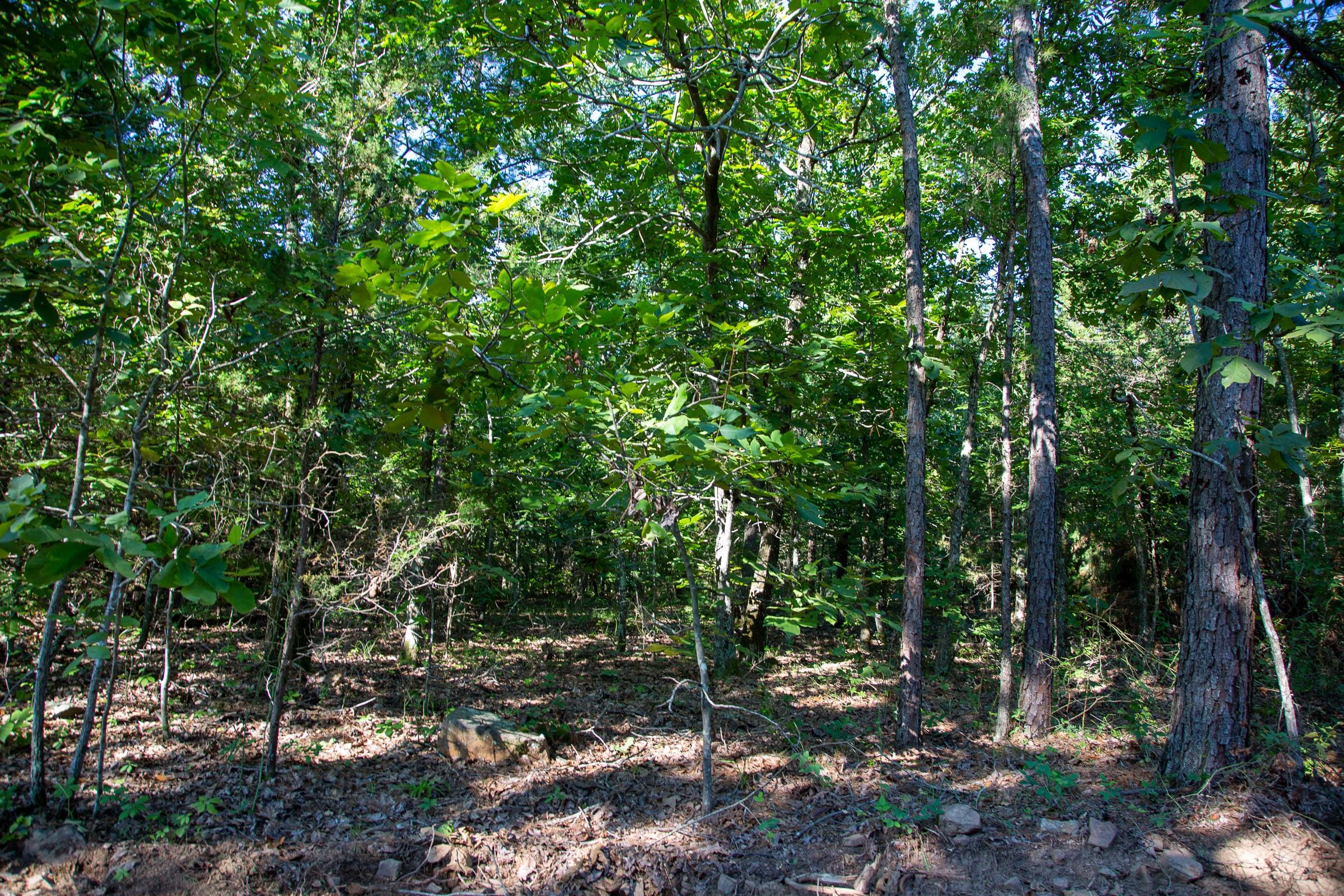 Tyler Stone Ranch Tract 32 photo 8