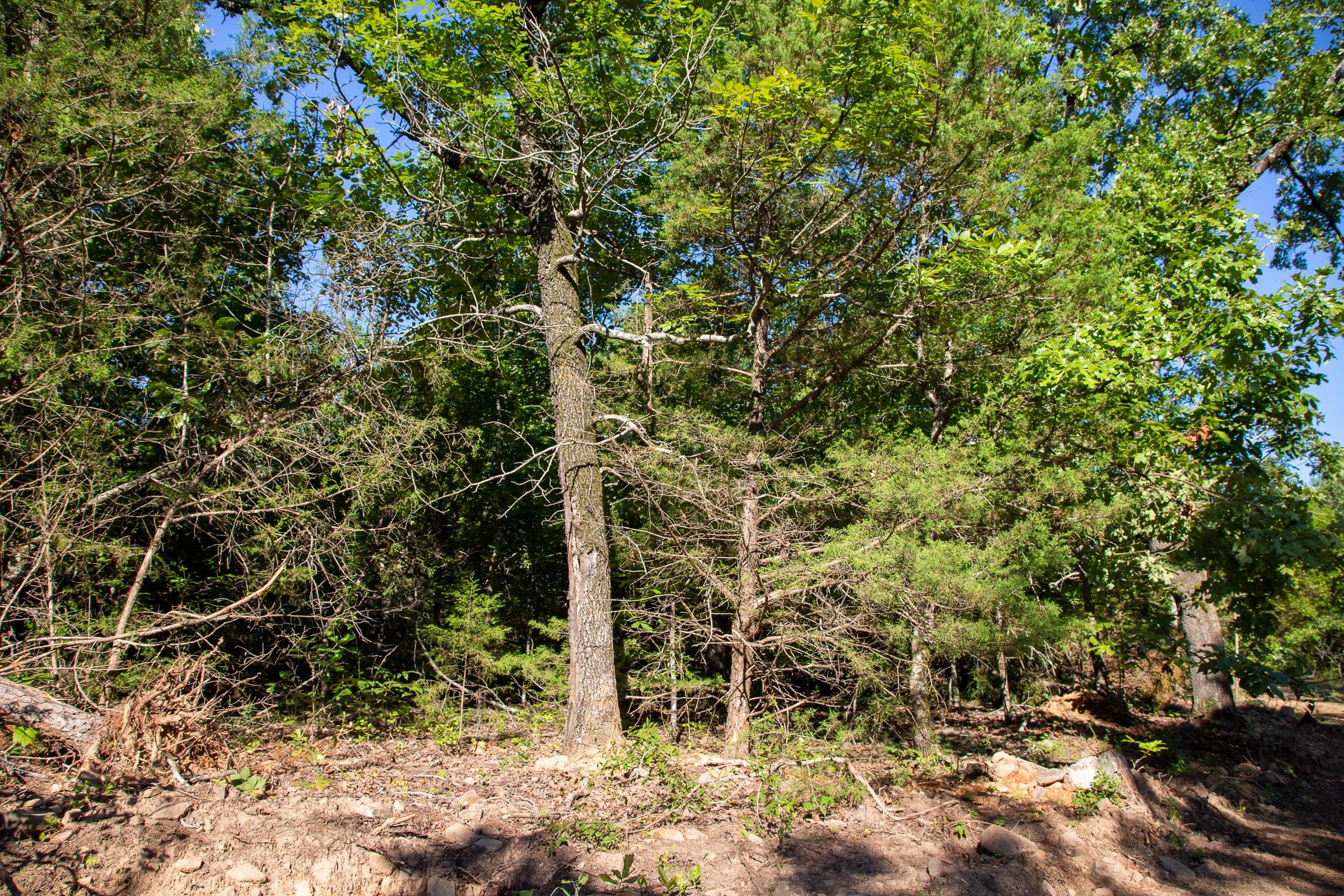 Tyler Stone Ranch Tract 32 photo 9