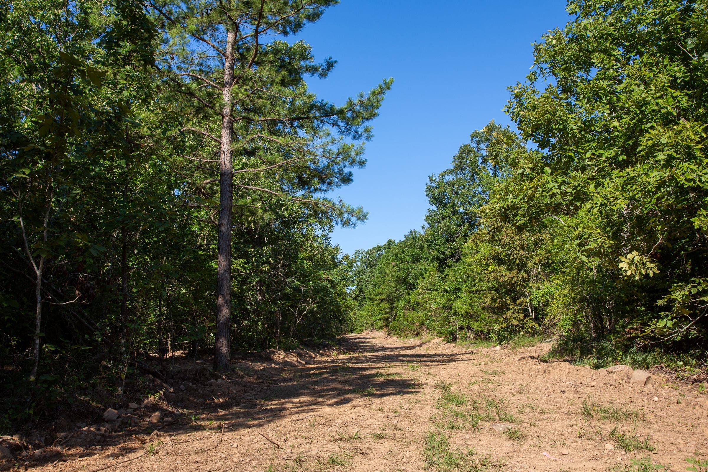 Tyler Stone Ranch Tract 32 photo 5