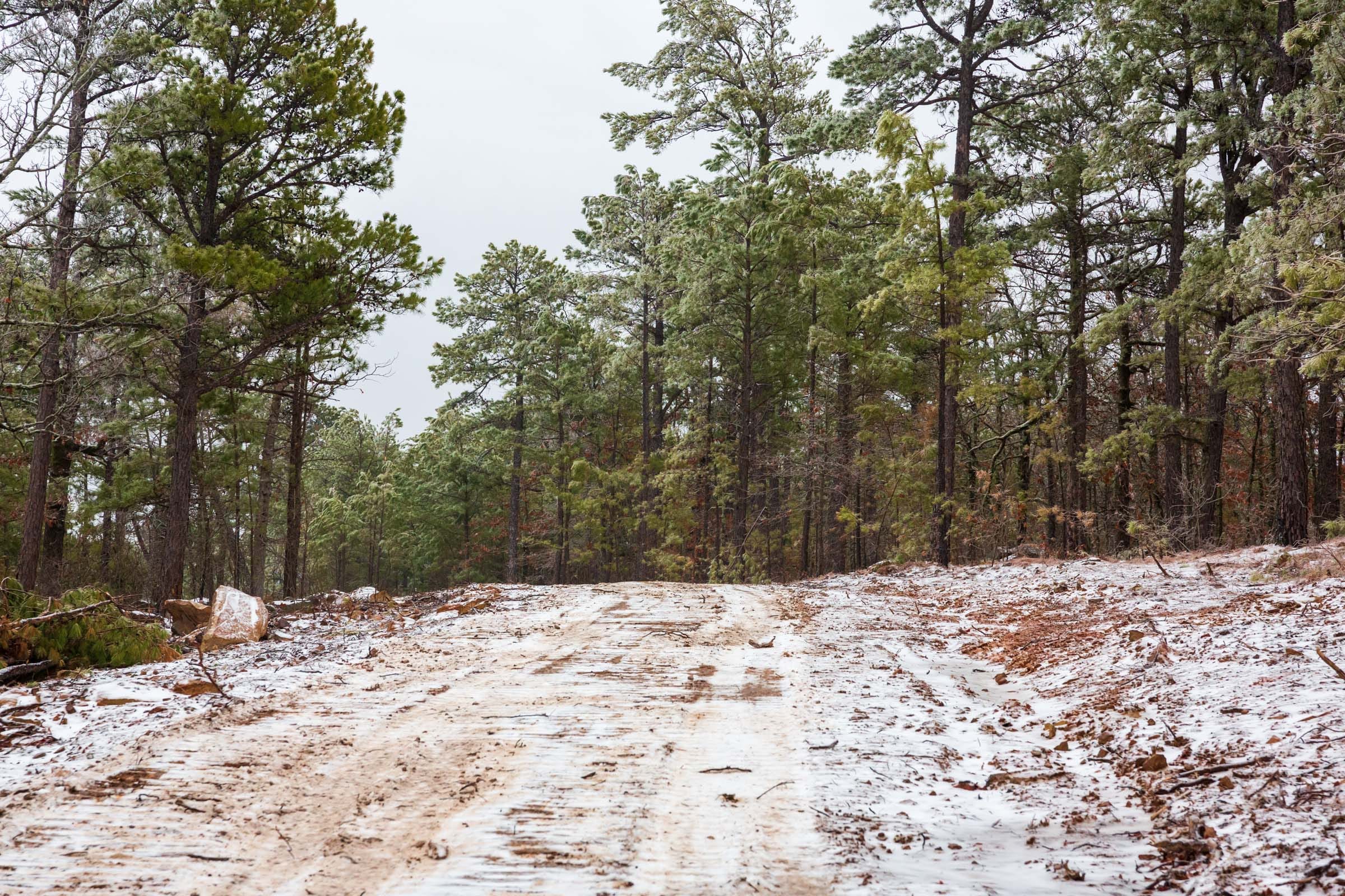 Stone Bridge Phase IV Tract 258 photo 17