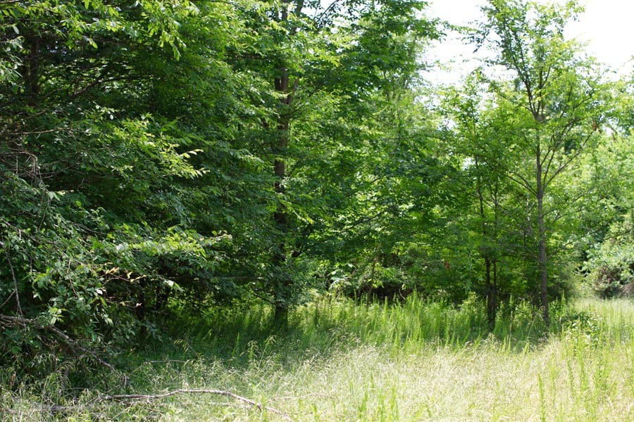 Bluebird Ranch Tract 18 photo 3