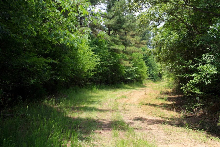 Bluebird Ranch Tract 18 photo 5