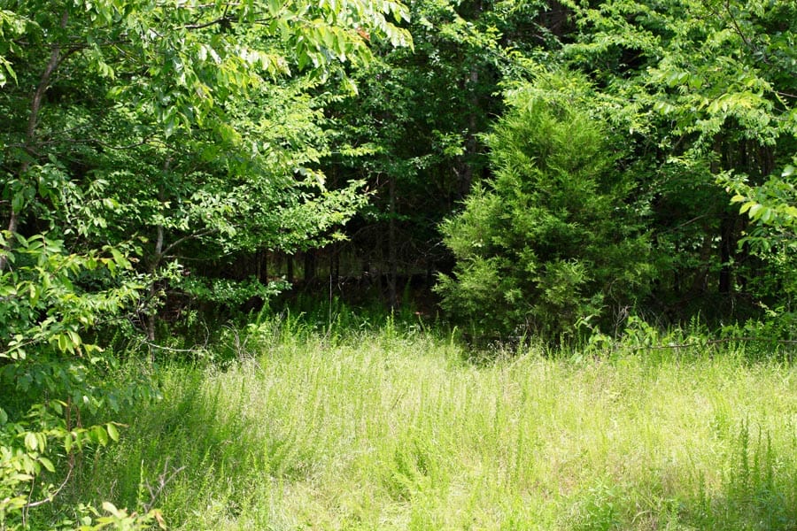 Bluebird Ranch Tract 18 photo 12