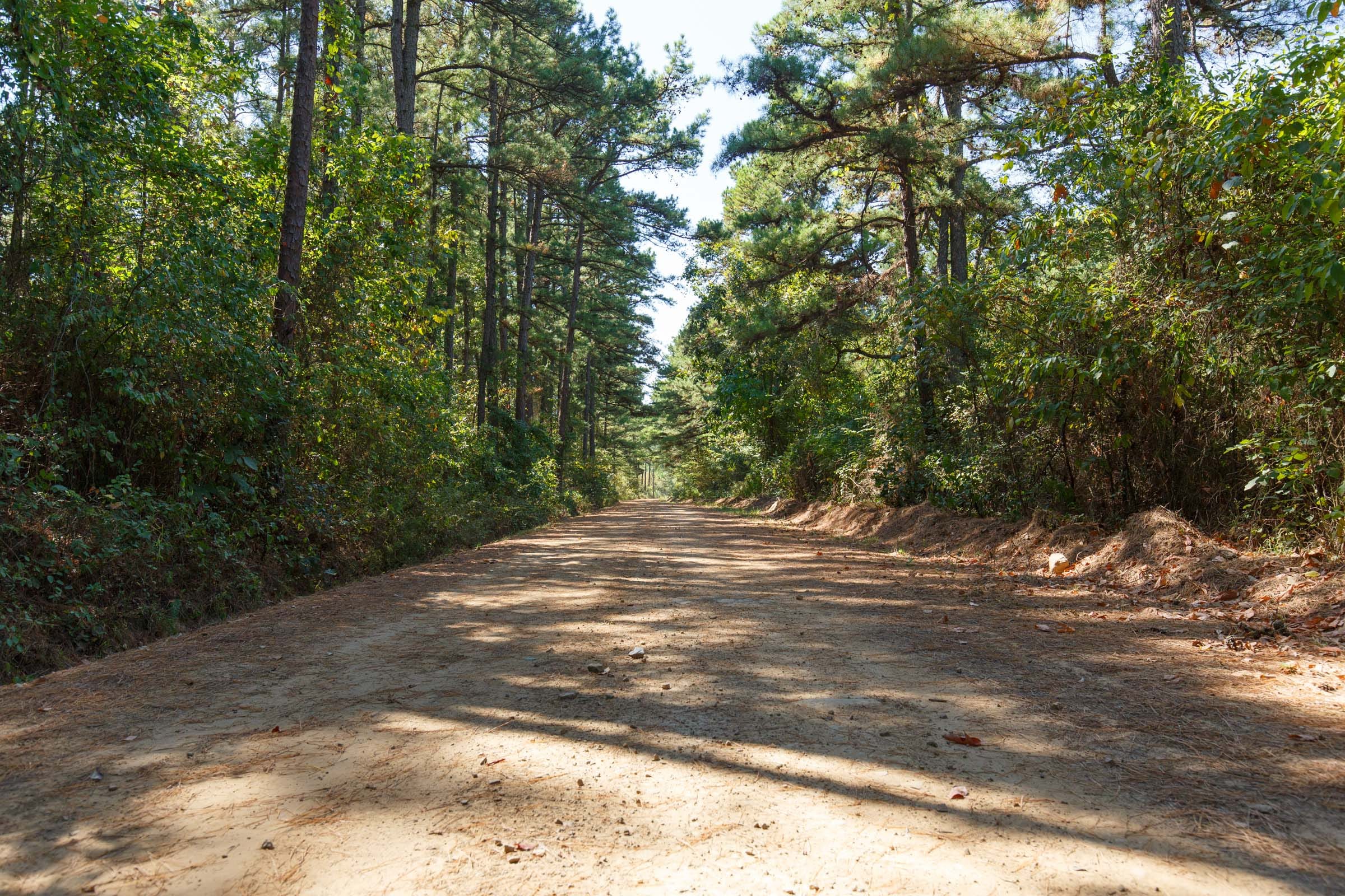 Stone Bridge Phase I Tract 5 photo 7