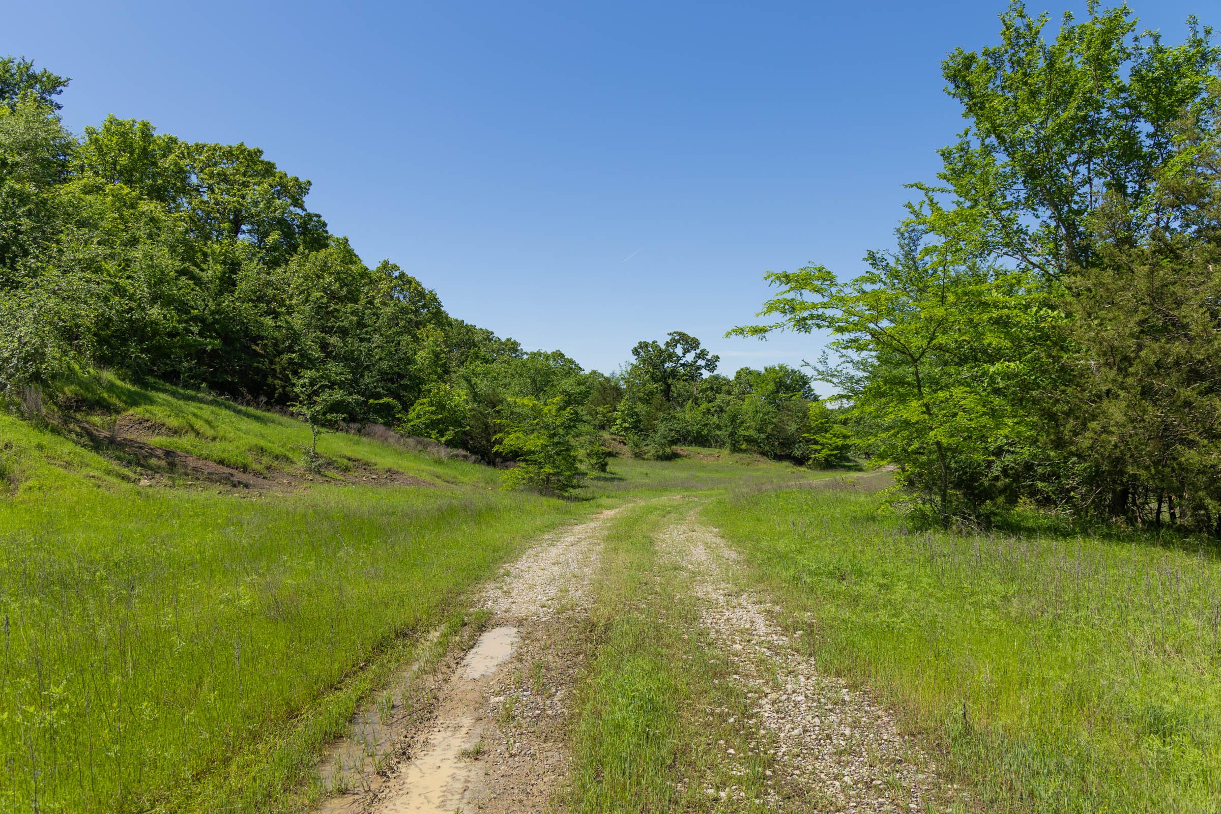 Harmony Hills Tract 35 photo 3