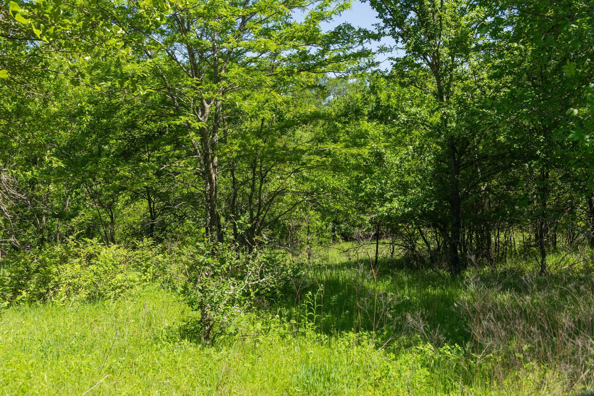 Harmony Hills Tract 35 photo 18
