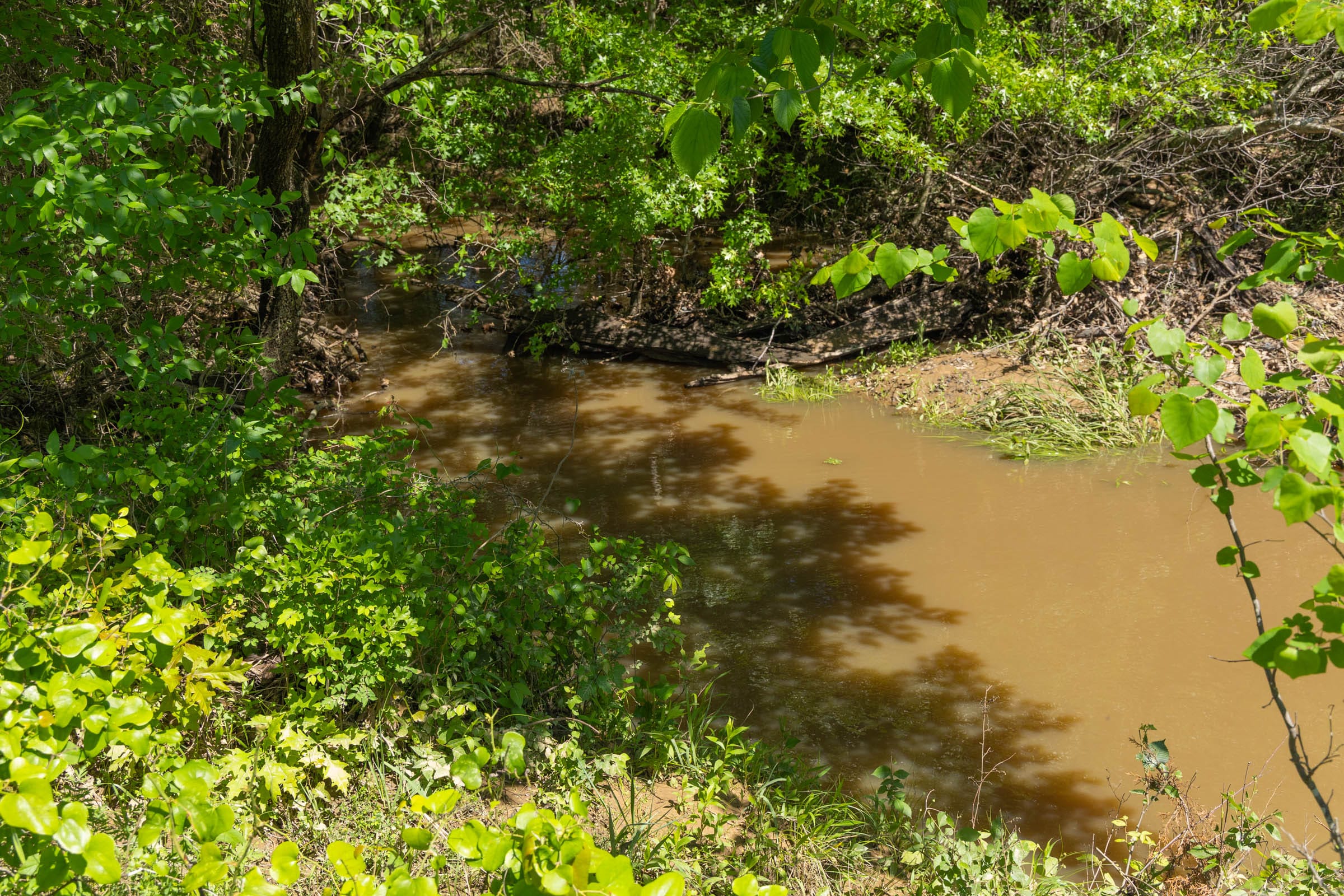 Harmony Hills Tract 35 photo 8